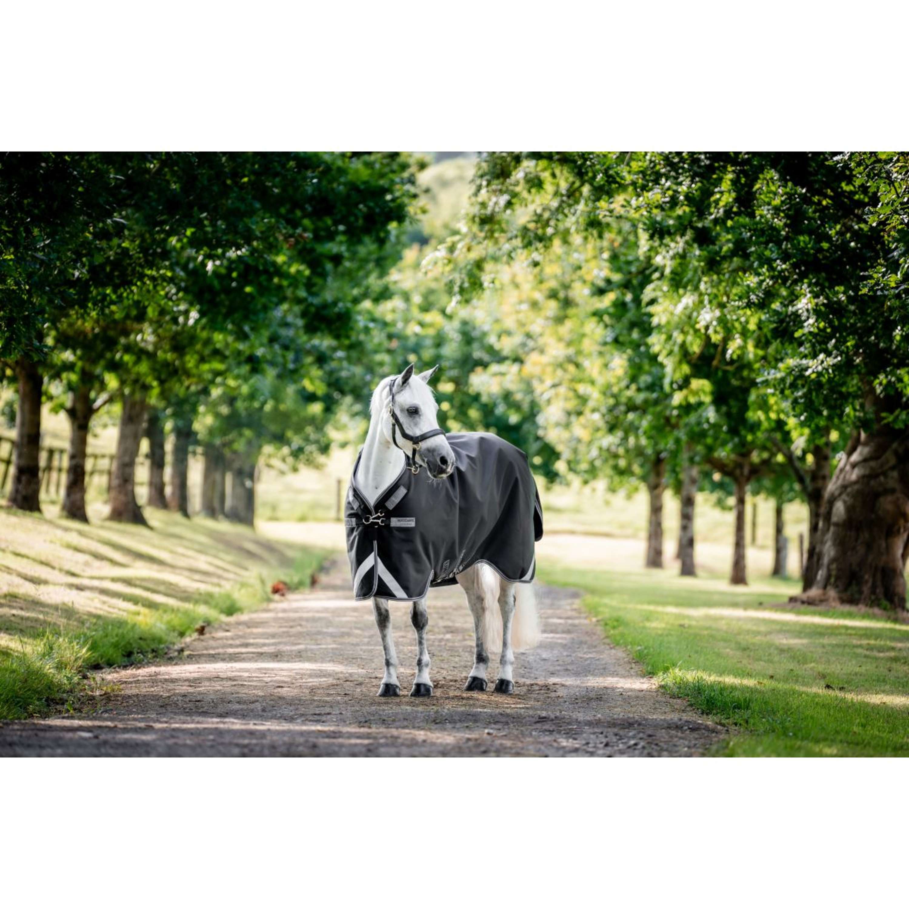 Rambo Turnout Rug 1680D Varilayer 250g Black/Thunderstorm Grey/Silver