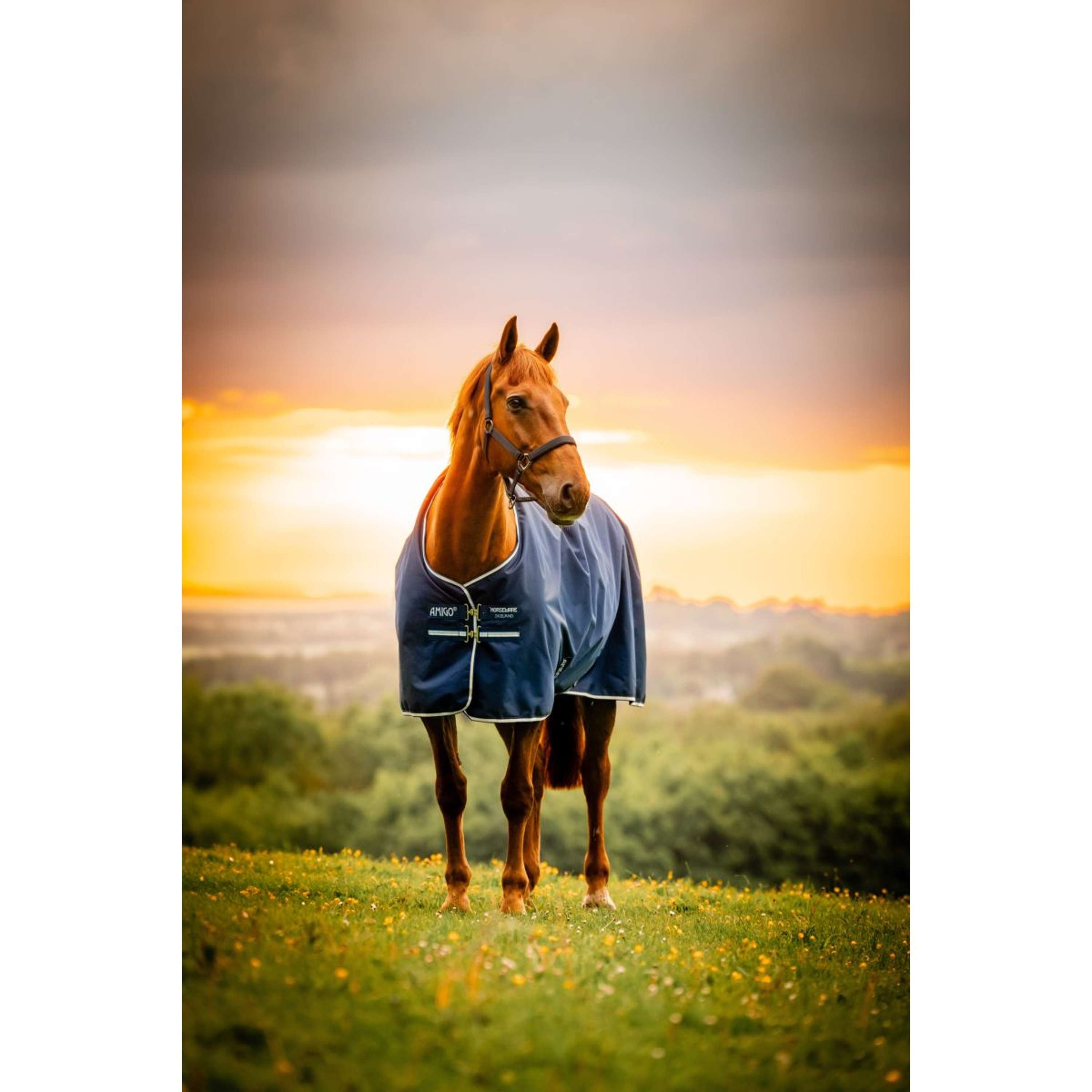 Amigo Ripstop 900D 200g Witney Navy