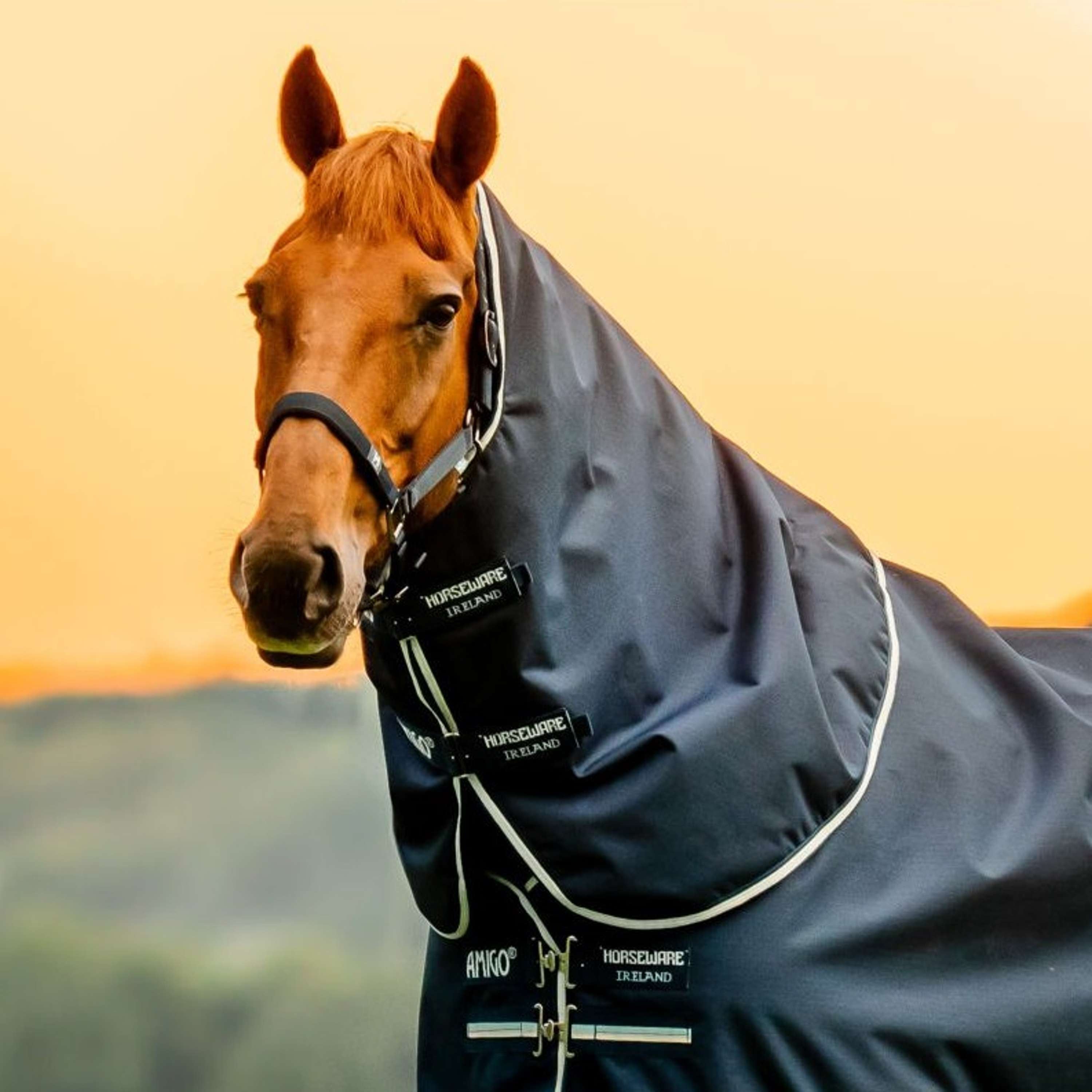 Amigo Neck Cover Ripstop 900D 150g Witney Navy