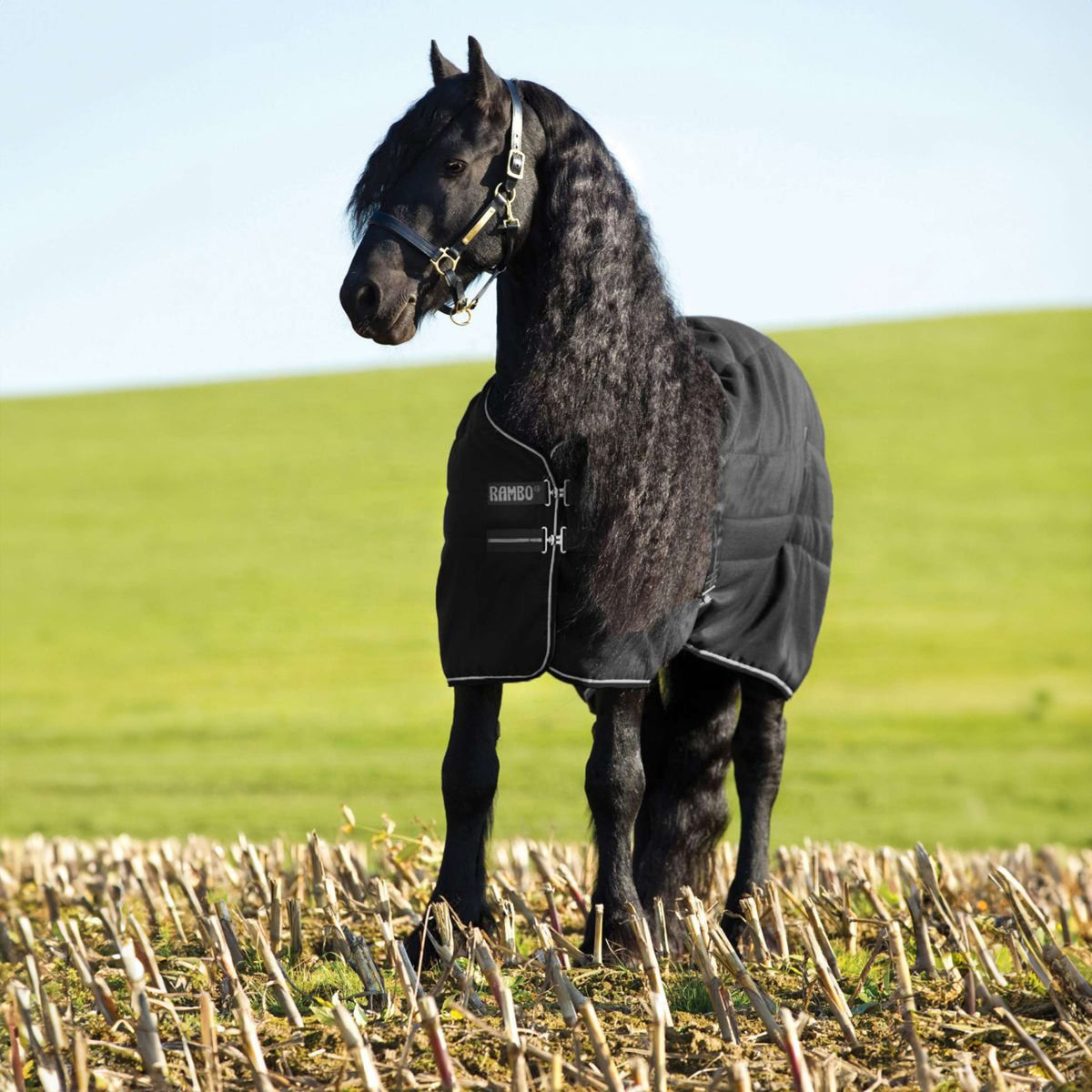 Rambo Stable Rug 100g Black/Silver