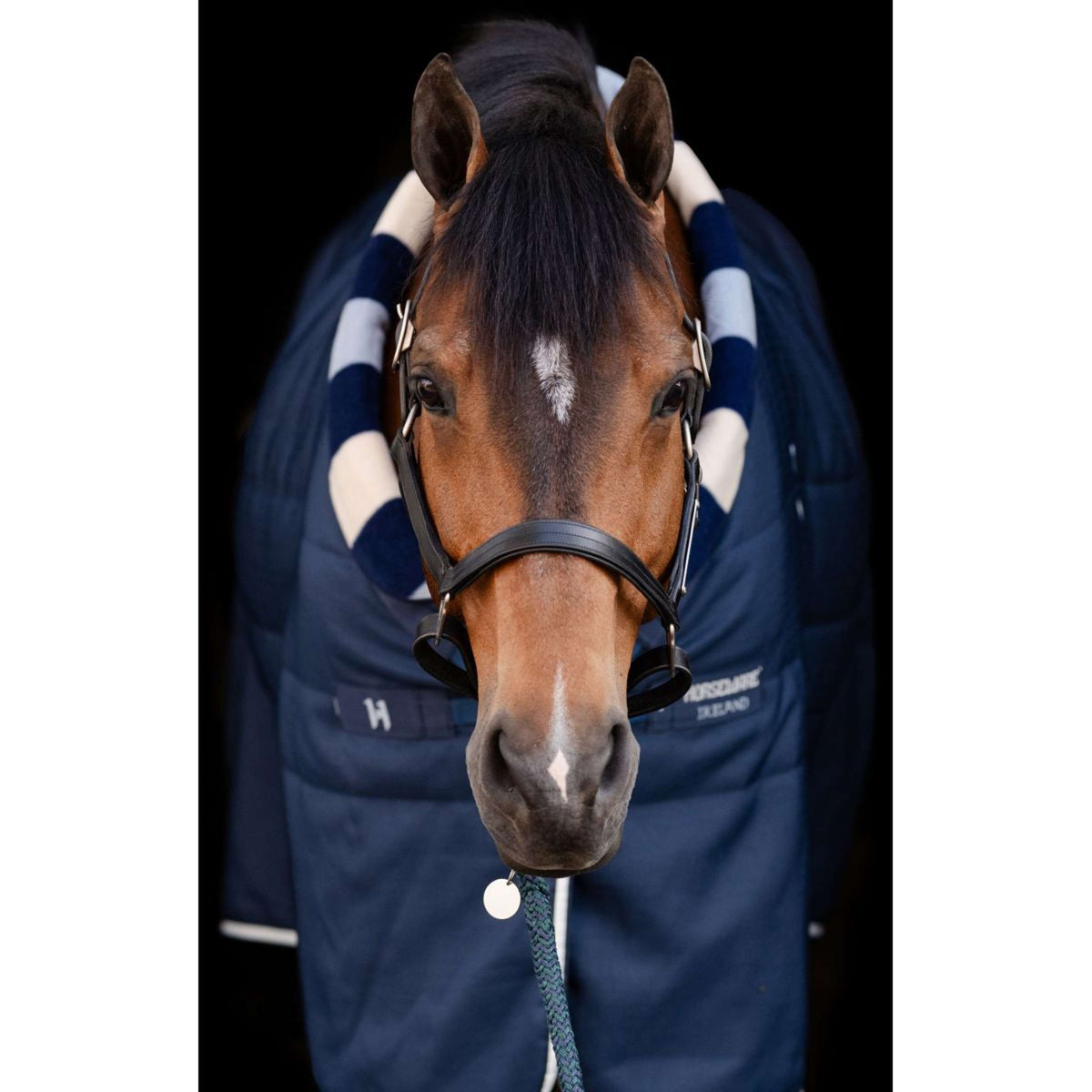 Horseware Cosy Stable Newmarket 400g Witney Navy