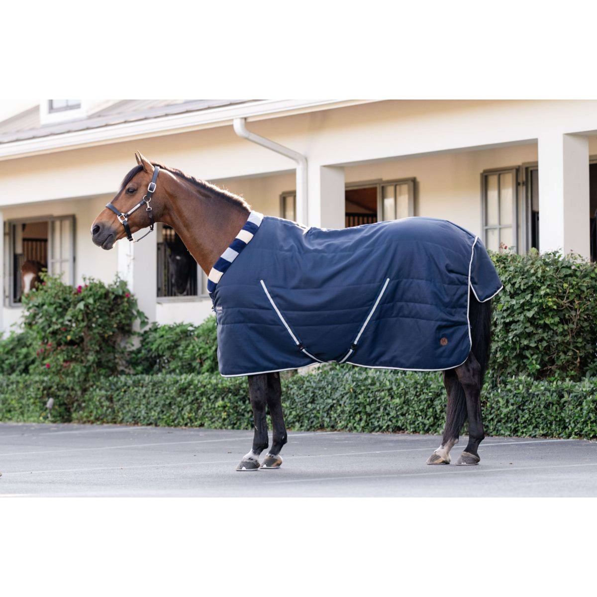 Horseware Cosy Stable Newmarket 400g Witney Navy