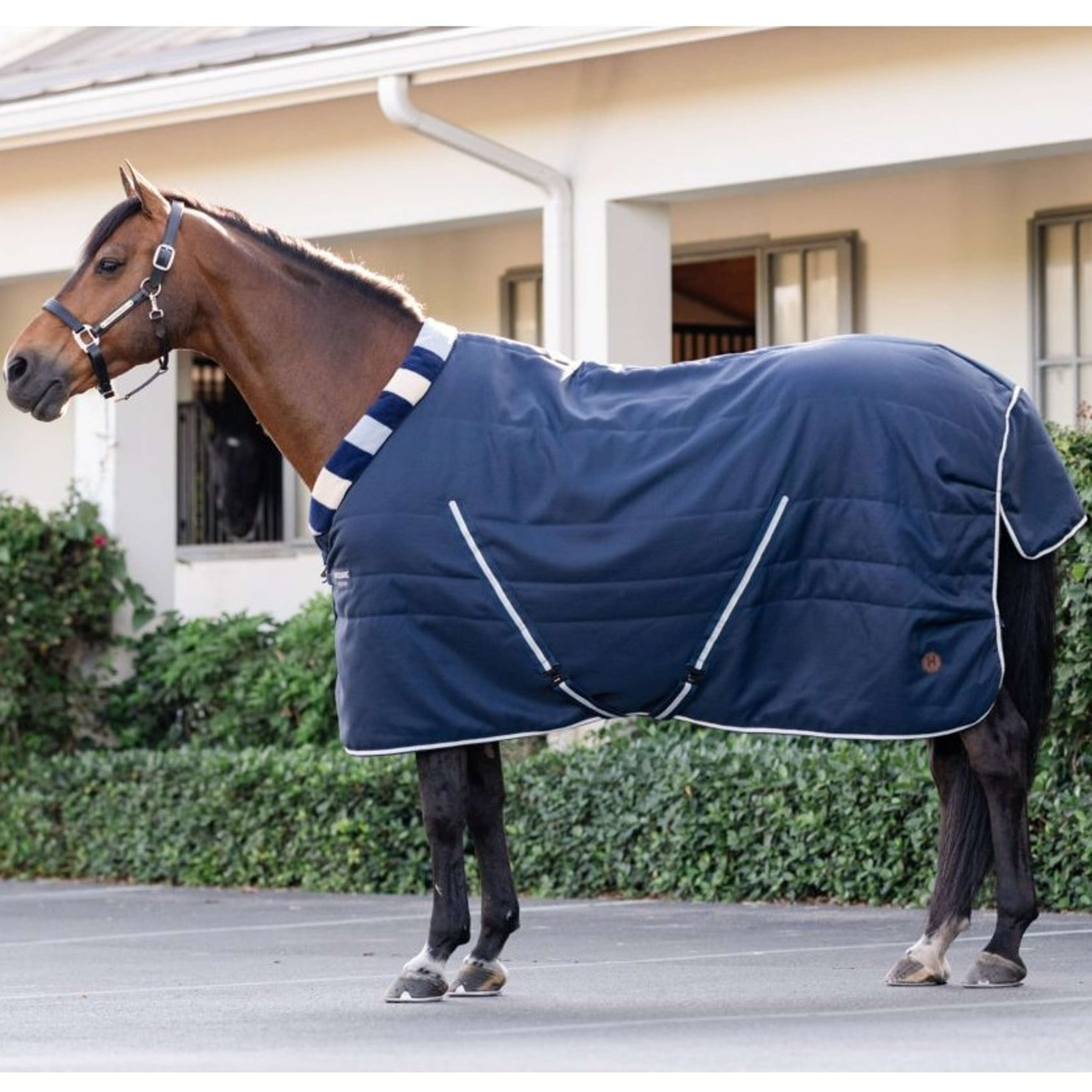 Horseware Cosy Stable Newmarket 100g Witney Navy