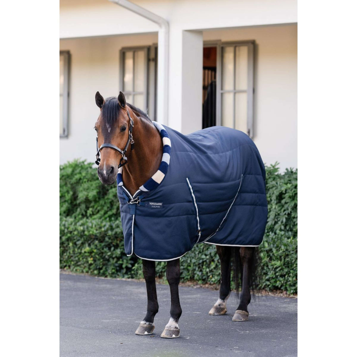 Horseware Cosy Stable Newmarket 400g Witney Navy