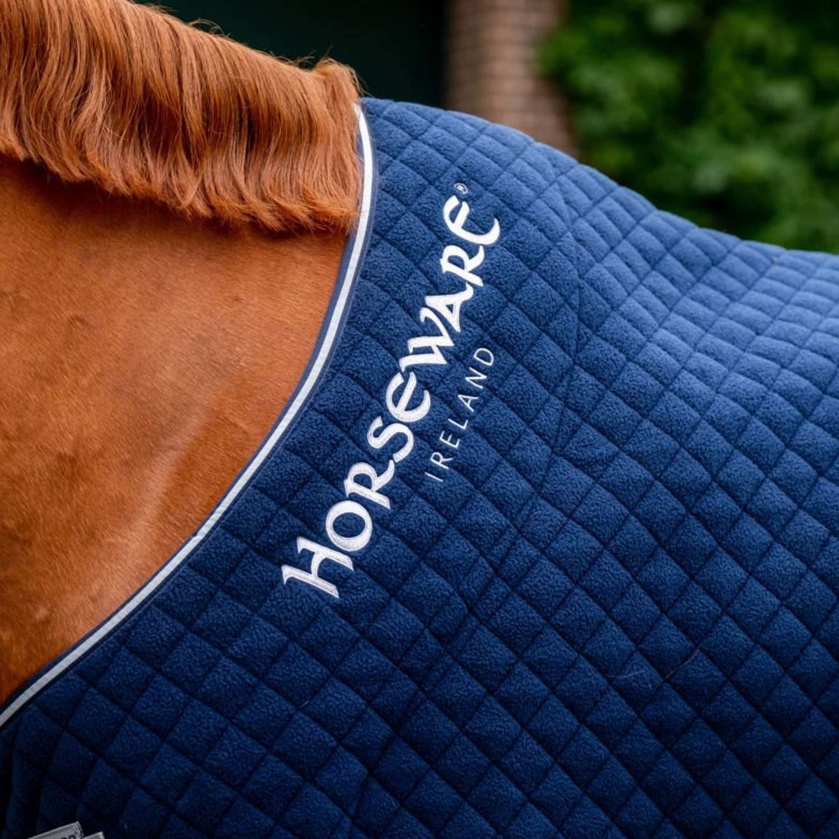 Horseware Cooler Autumn Navy/Silver