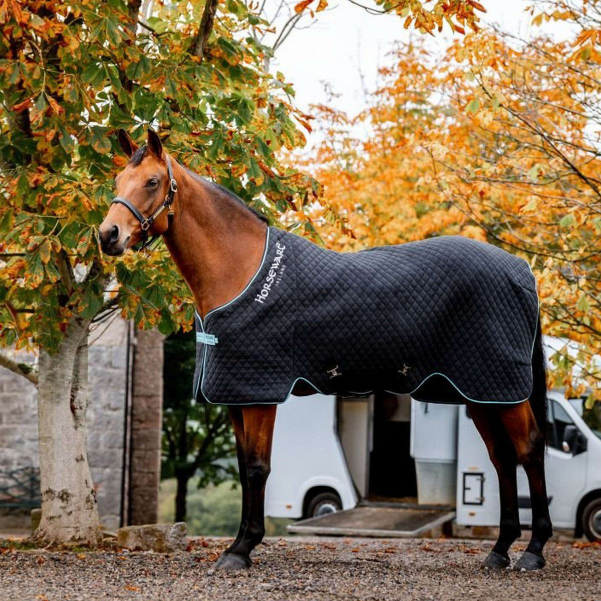 Horseware Cooler Autumn Black/Aqua