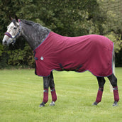 Rambo Helix Stable Sheet Disc Burgundy/Teal/Navy