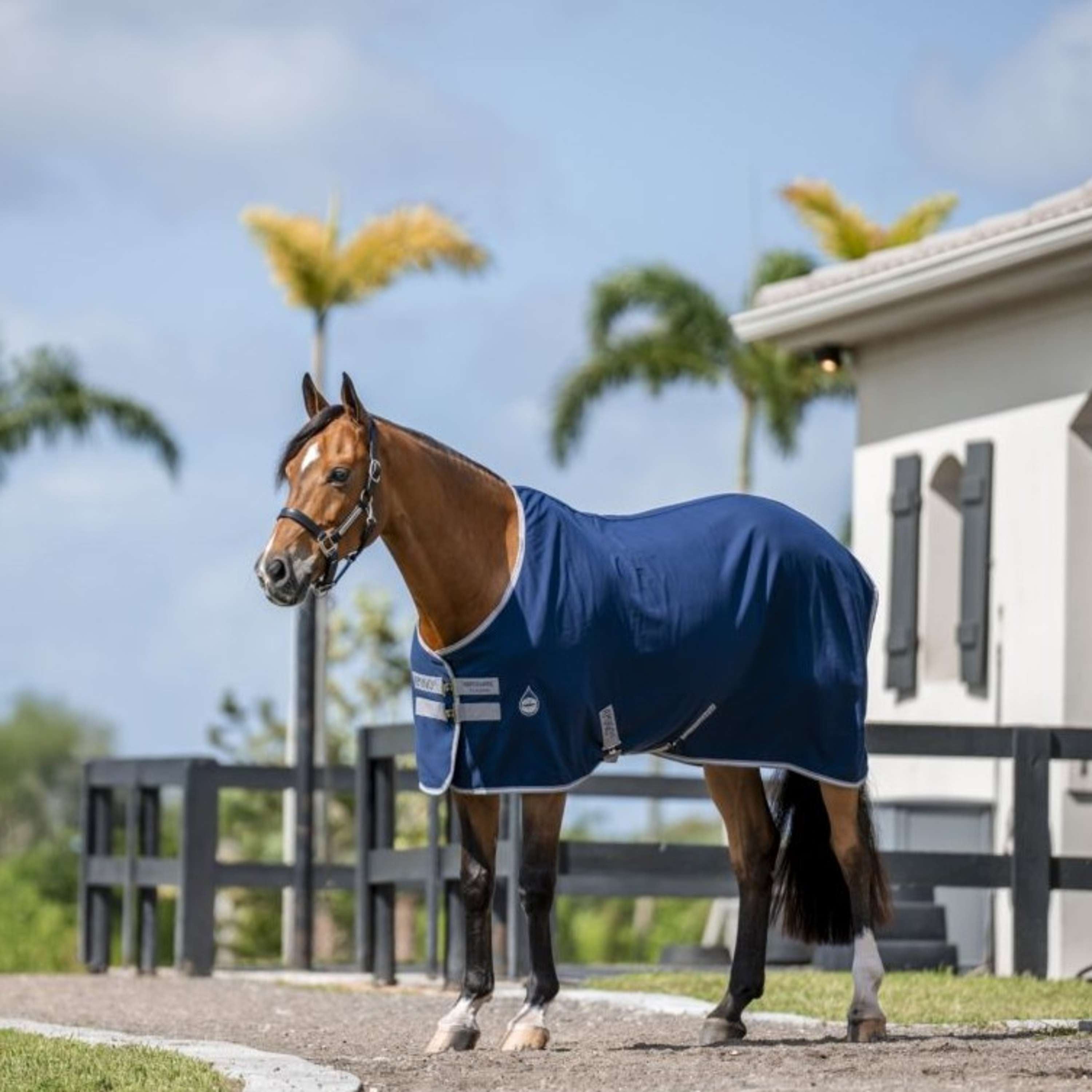 Amigo Stable Rug Navy/Titanium Grey/Silver