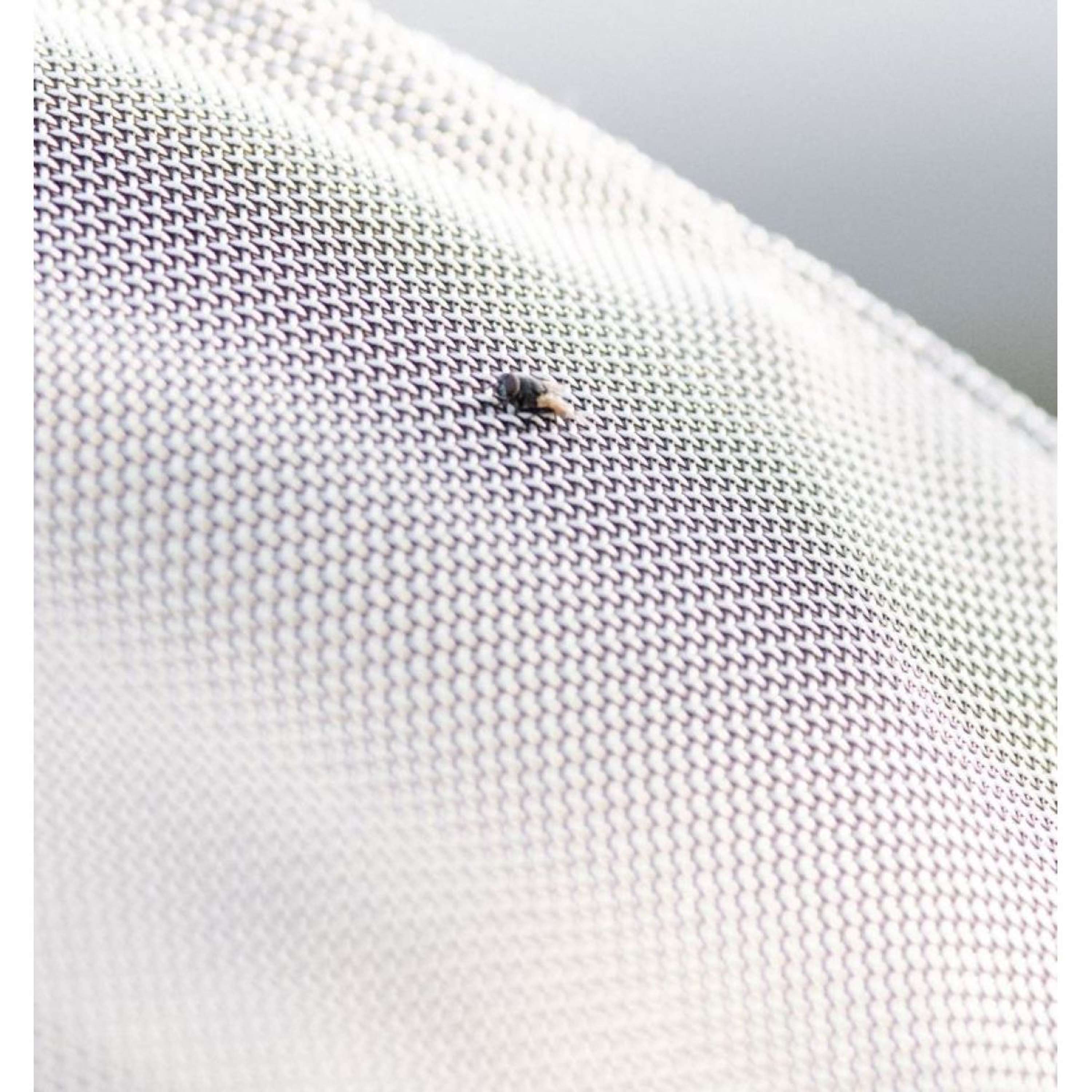 Rambo Protector Fieldsafe Plus Silver/Navy/White/Beige