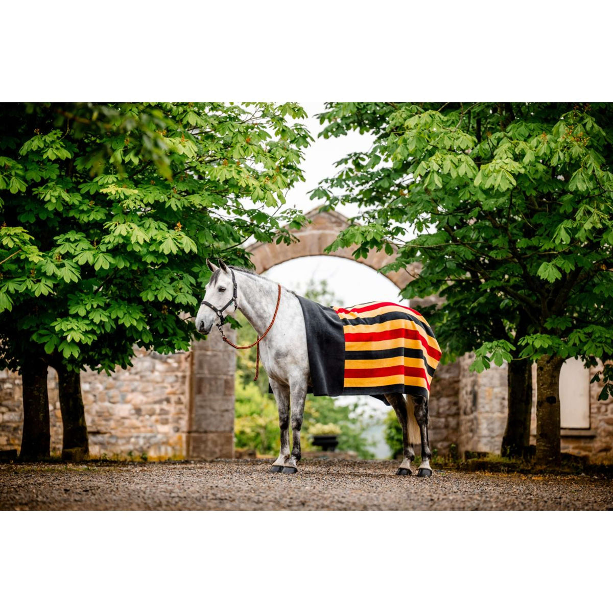 Horseware Fleece Rug Newmarket Witney Gold