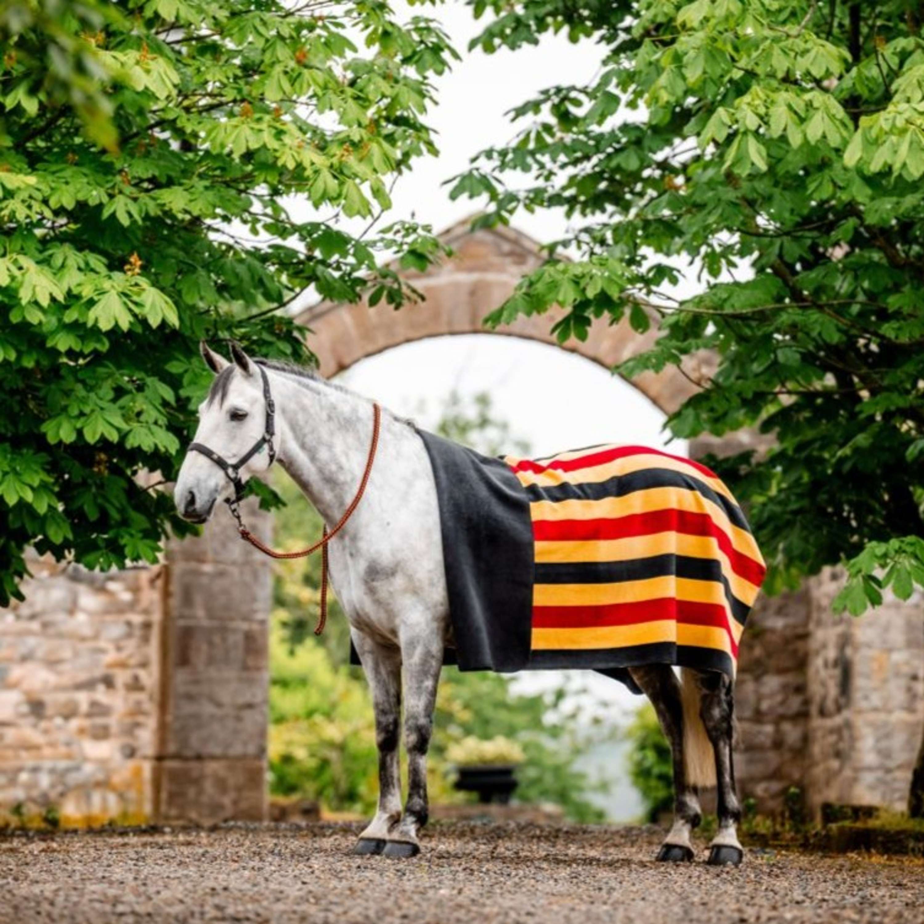 Horseware Fleece Rug Newmarket Witney Gold