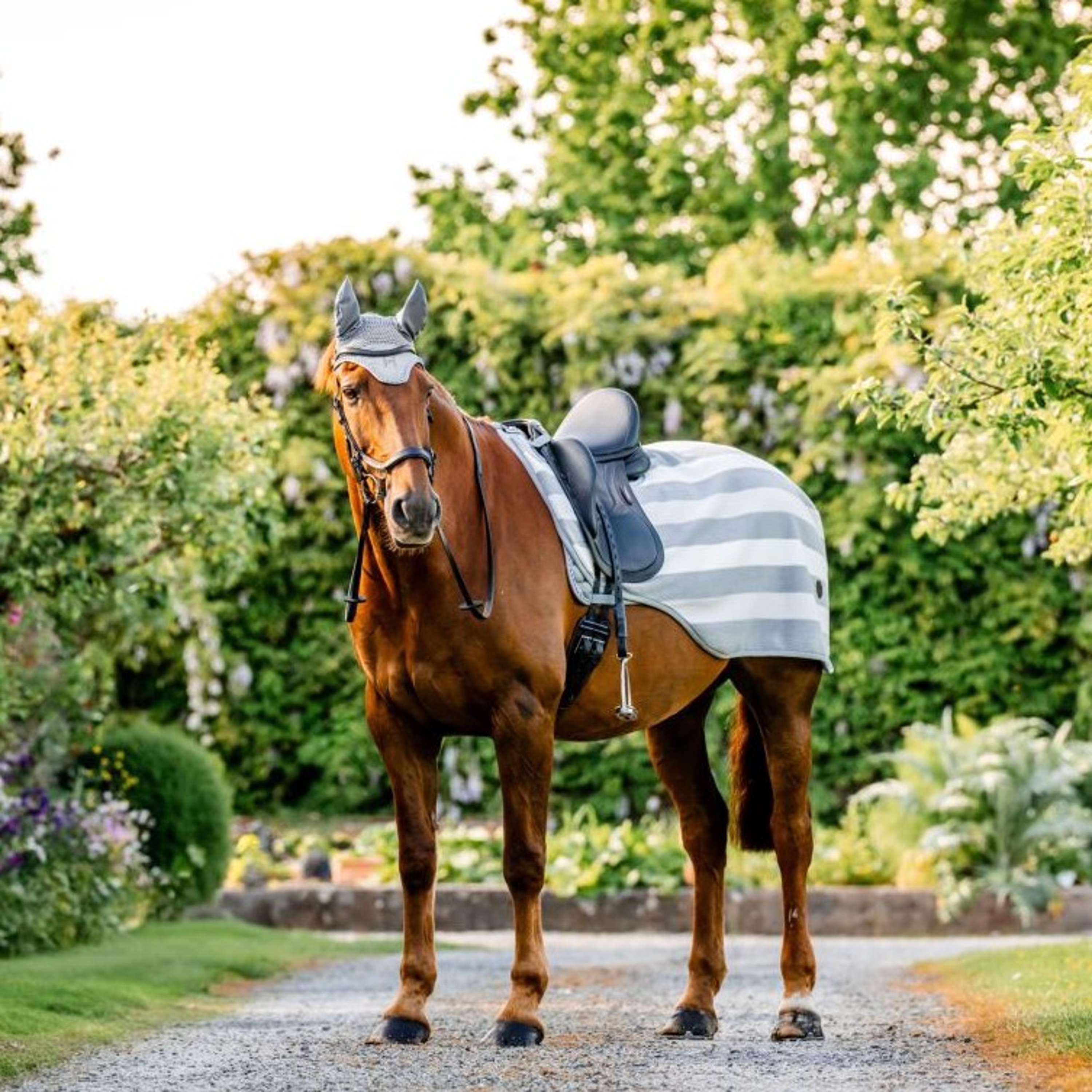 Horseware Exercise Rug Newmarket Witney Charcoal