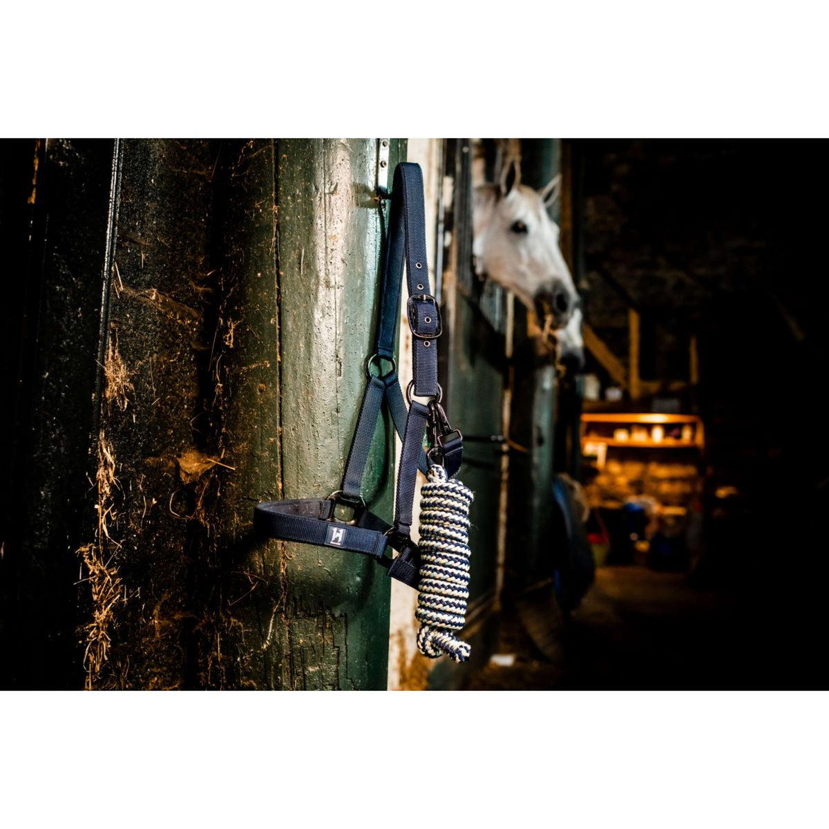 Amigo Halter and Leadrope Newmarket Witney Navy