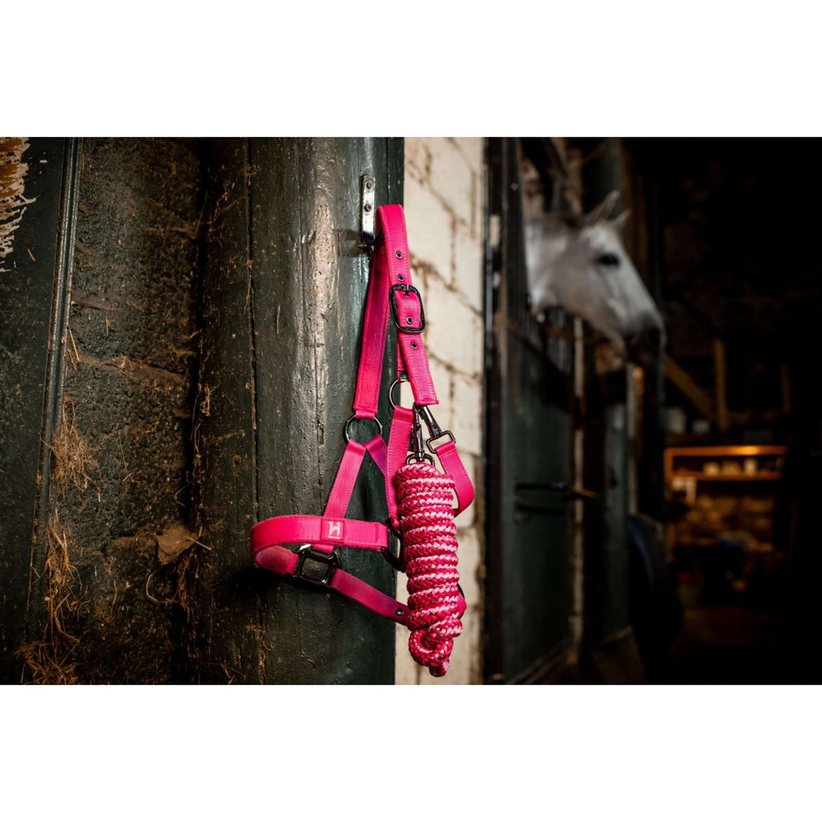 Amigo Halter and Leadrope Newmarket Witney Pink