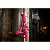 Amigo Halter and Leadrope Newmarket Witney Pink