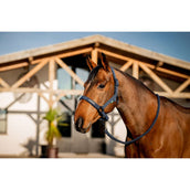 Amigo Halter and Leadrope Navy