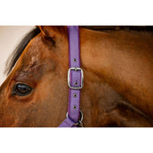 Amigo Halter and Leadrope Winterberry