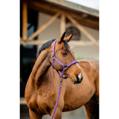 Amigo Halter and Leadrope Winterberry