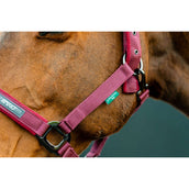 Amigo Halter and Leadrope Mulberry