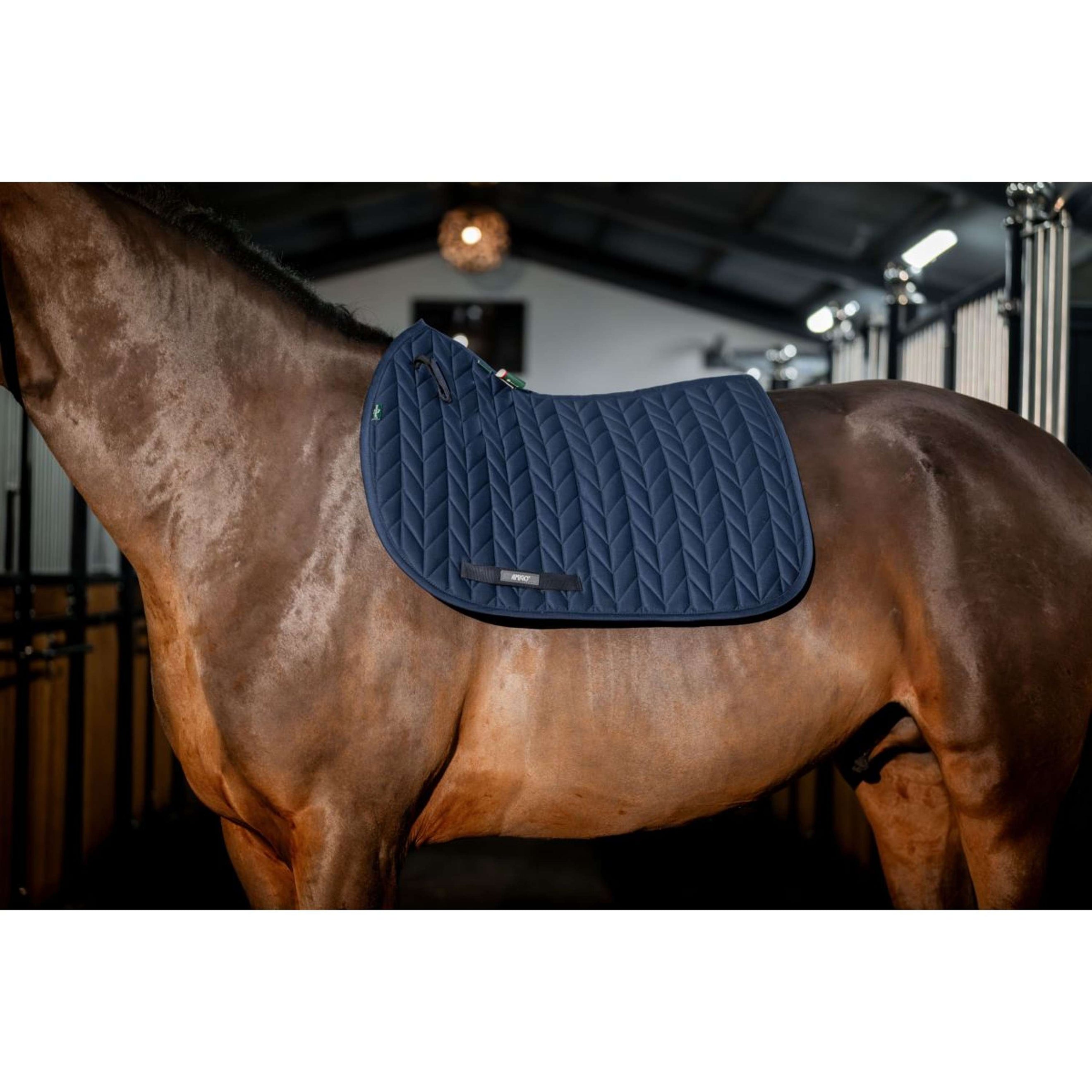 Amigo Saddlepad General Purpose Navy