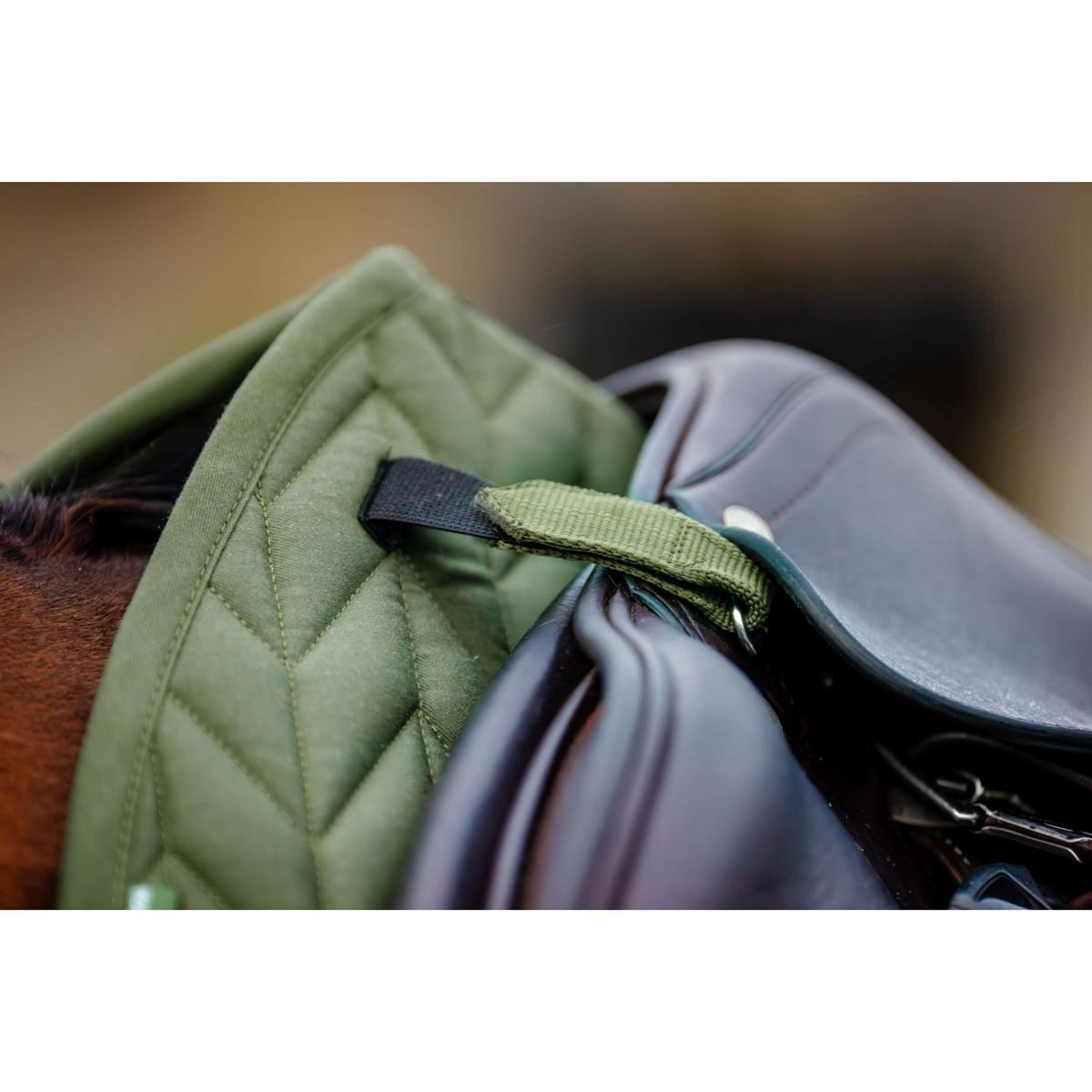 Amigo Saddlepad General Purpose Bramble