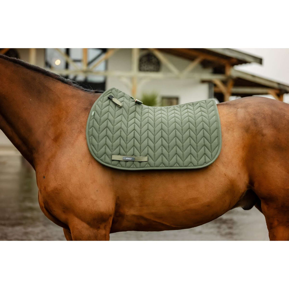 Amigo Saddlepad General Purpose Bramble