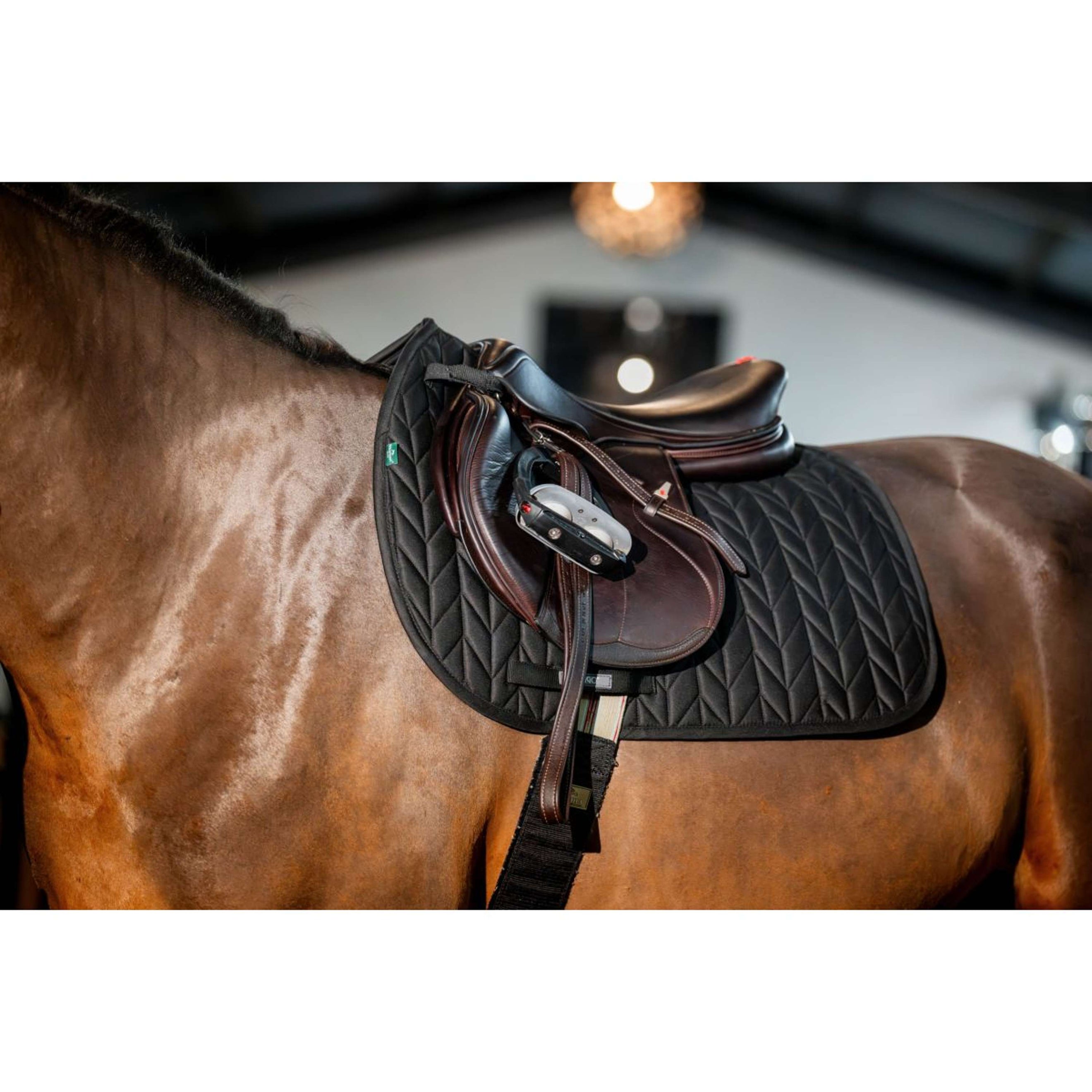 Amigo Saddlepad General Purpose Black