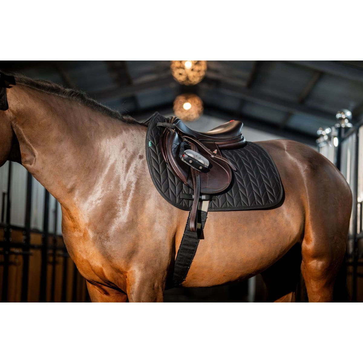 Amigo Saddlepad General Purpose Black