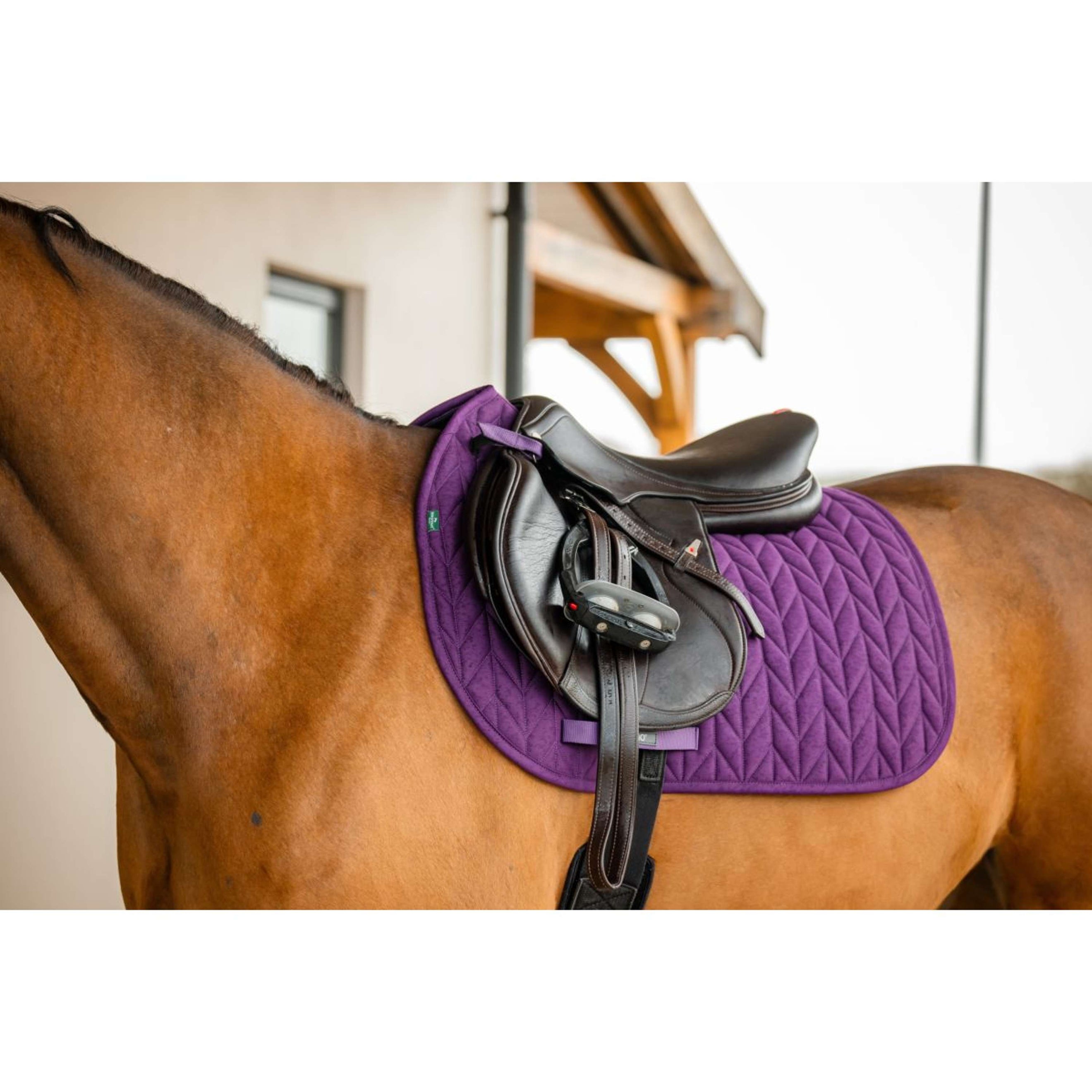 Amigo Saddlepad General Purpose Winterberry