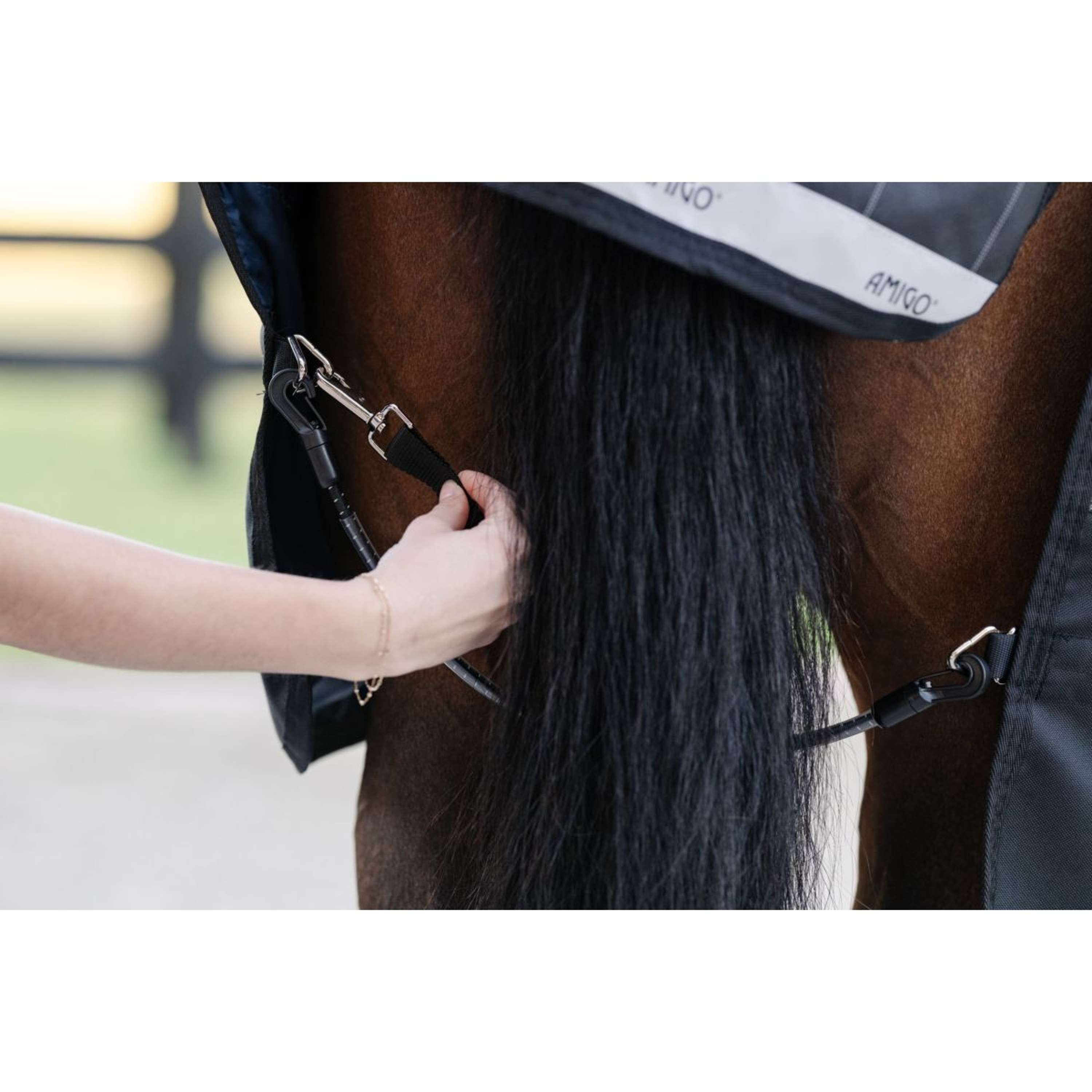 Horseware Leg Straps Black