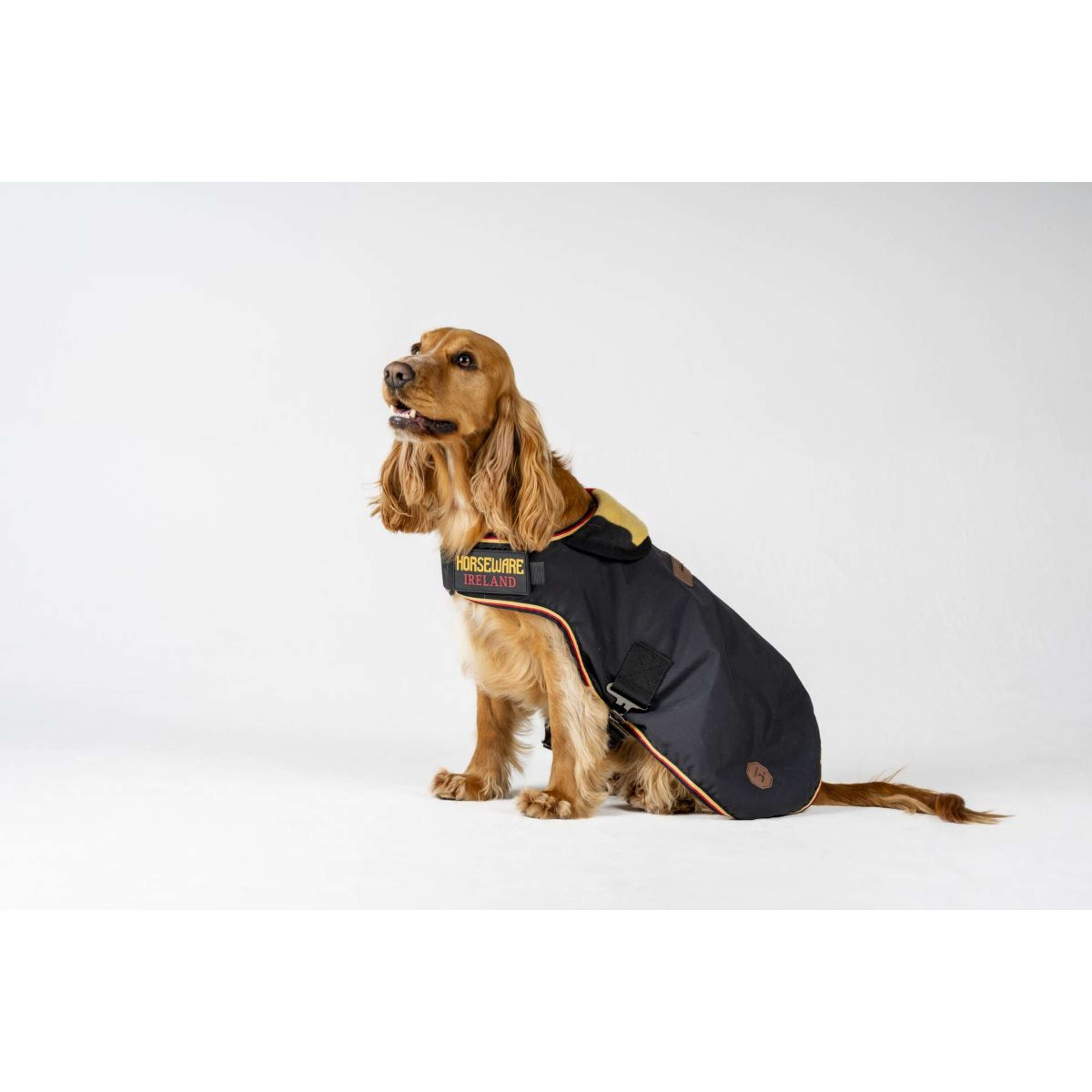 Horseware Dog Rug Newmarket Witney Gold