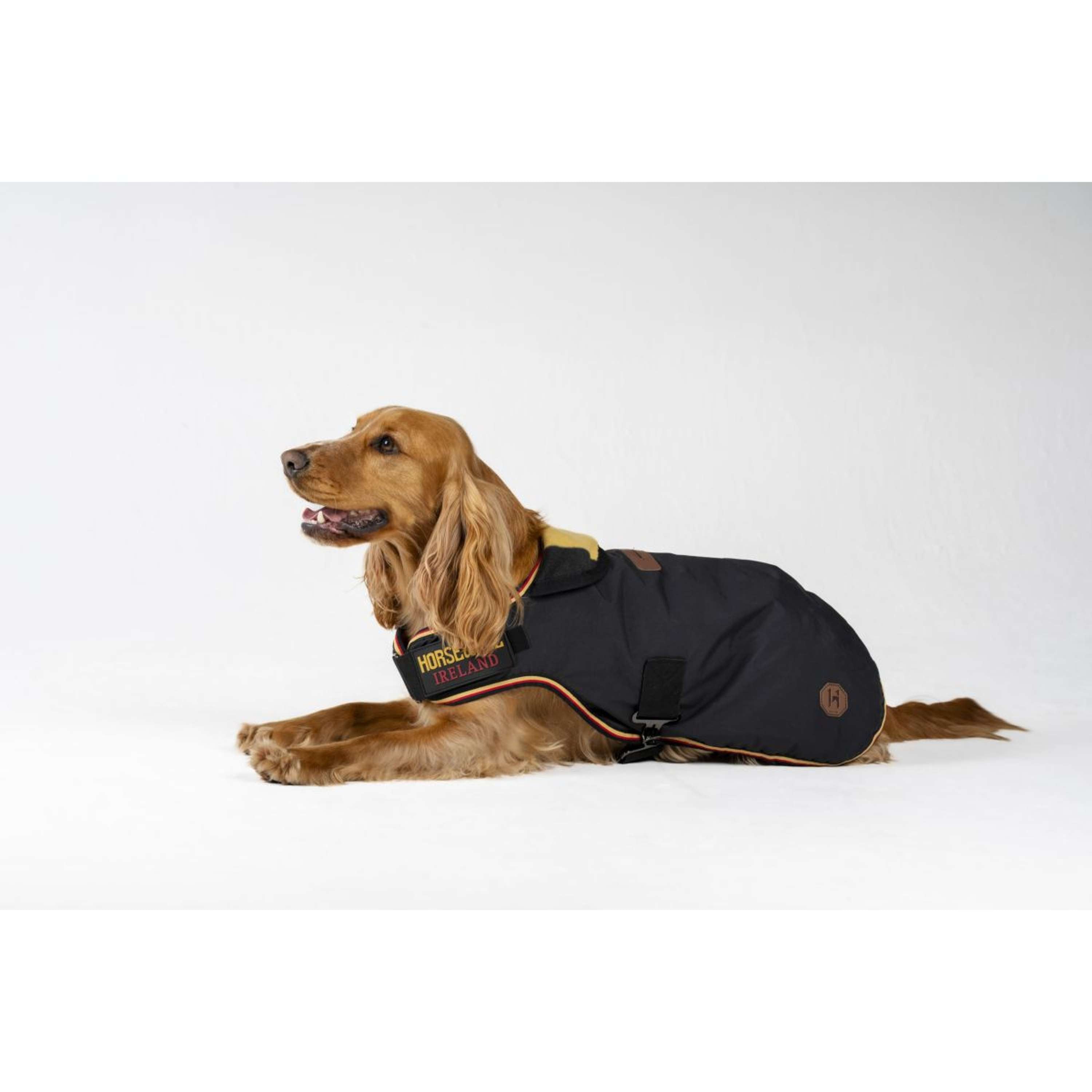 Horseware Dog Rug Newmarket Witney Gold