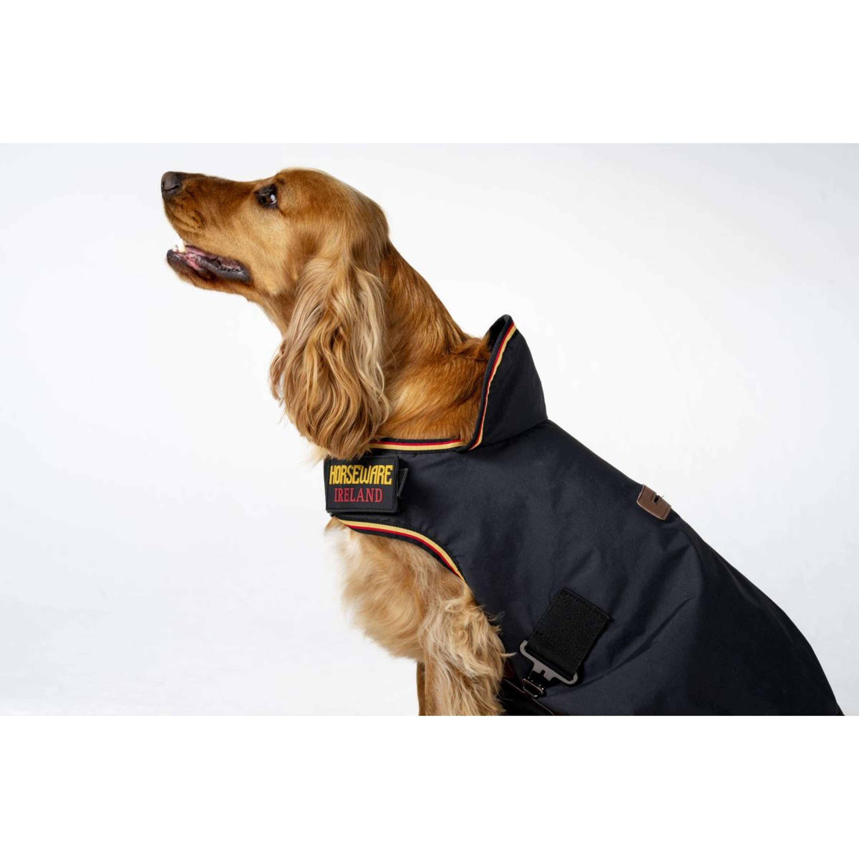 Horseware Dog Rug Newmarket Witney Gold