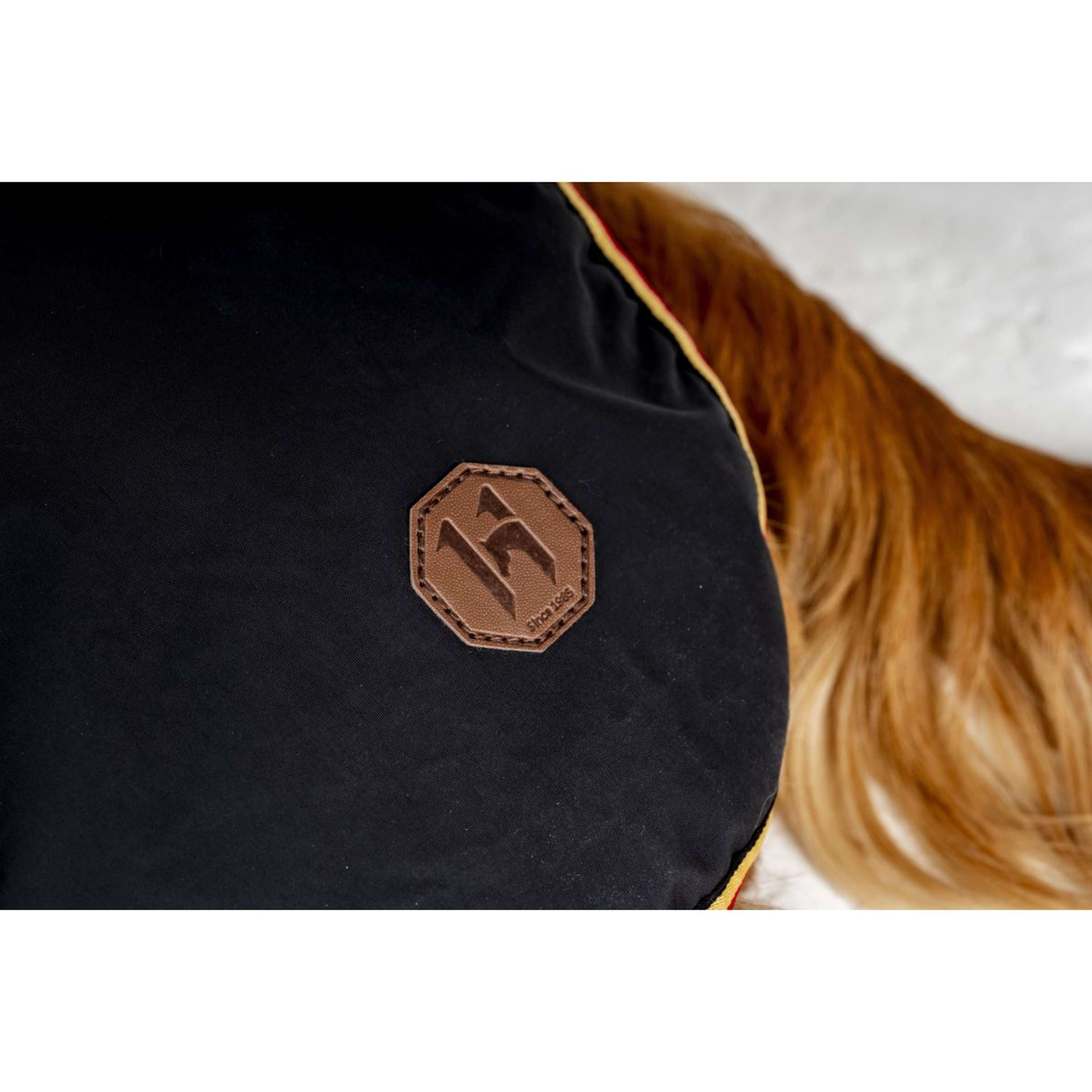 Horseware Dog Rug Newmarket Witney Gold