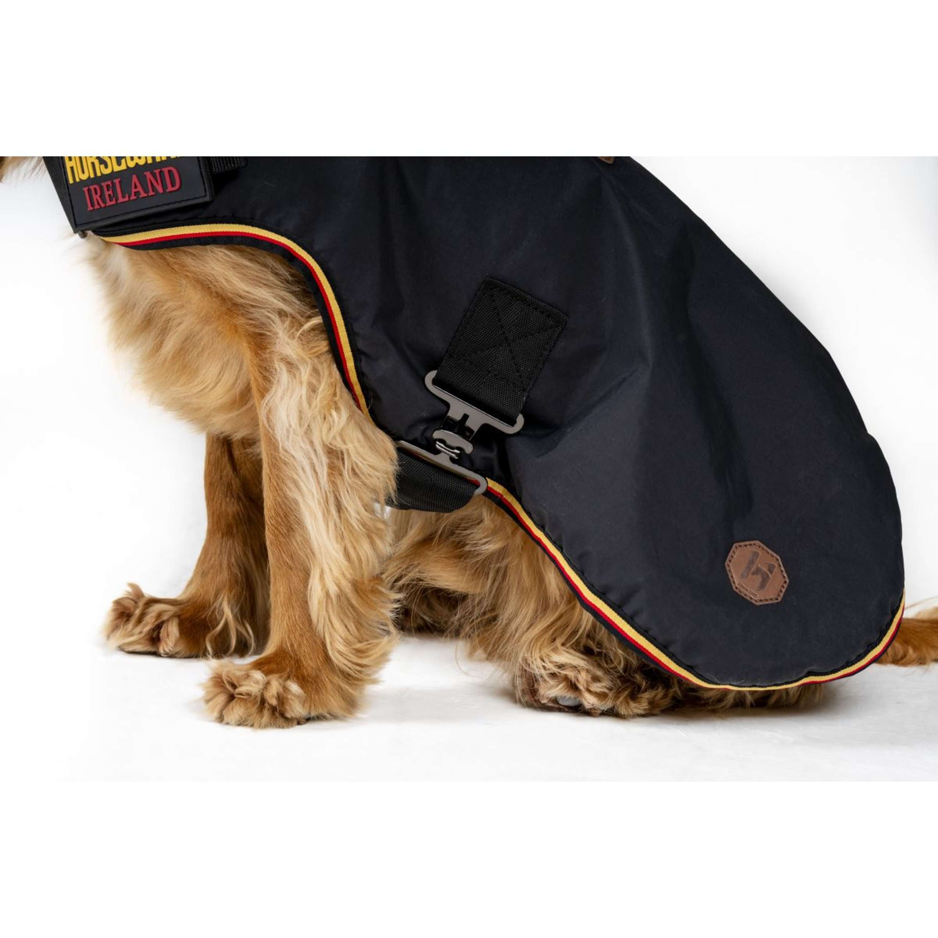 Horseware Dog Rug Newmarket Witney Gold