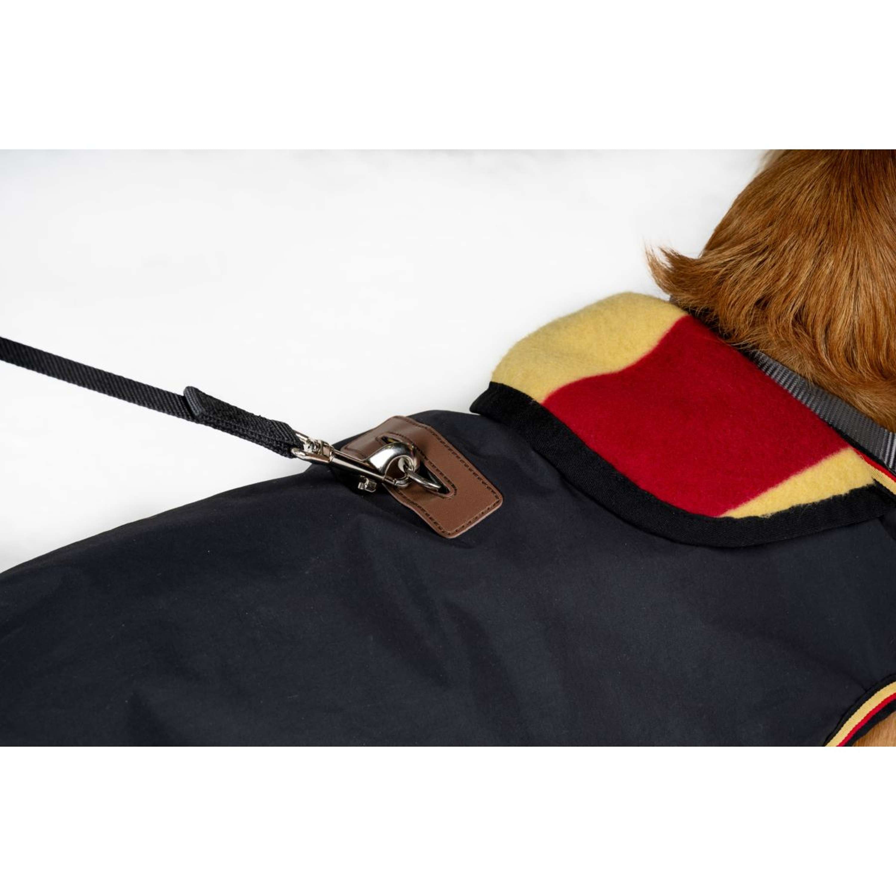 Horseware Dog Rug Newmarket Witney Gold