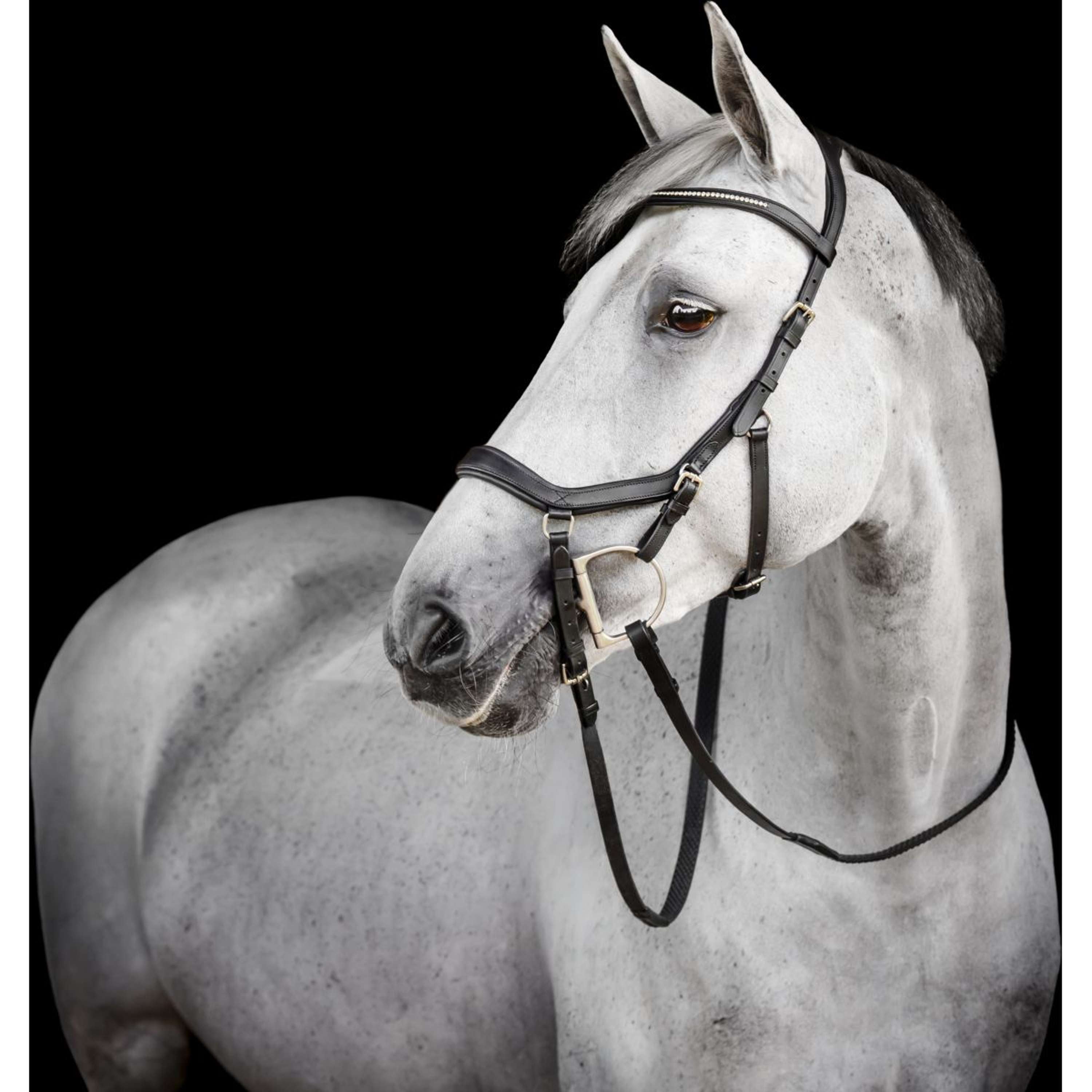 Horseware Micklem Diamante Competition Bridle Black