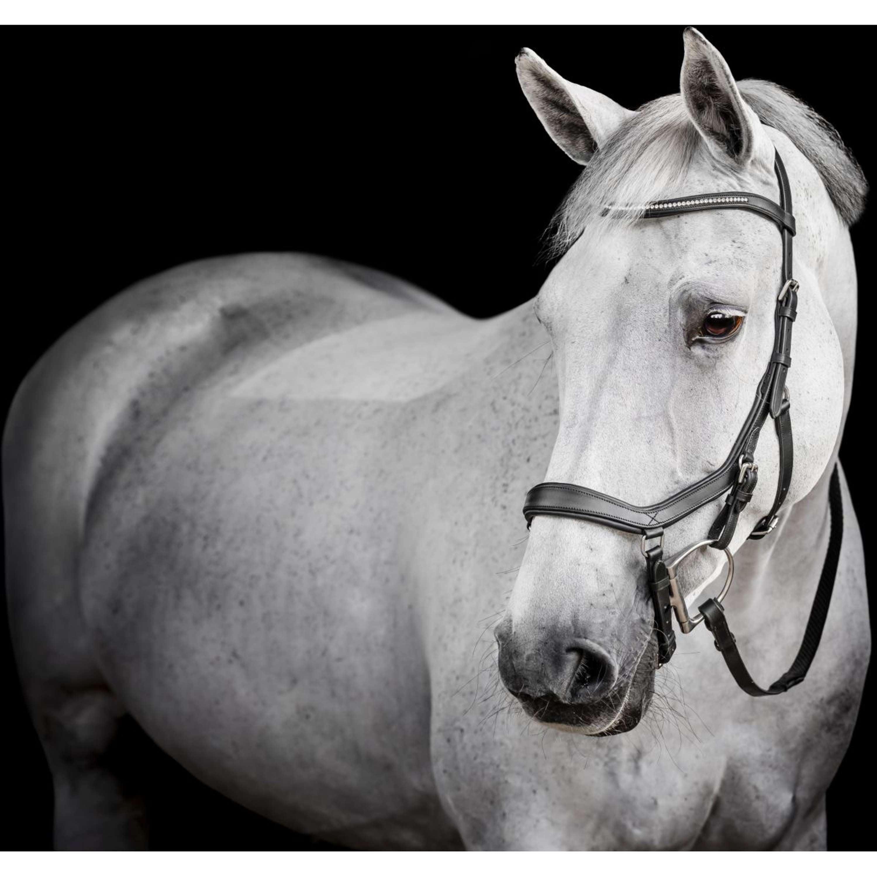 Horseware Micklem Diamante Competition Bridle Black