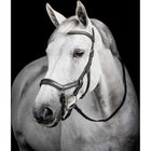 Horseware Micklem Diamante Competition Bridle Black