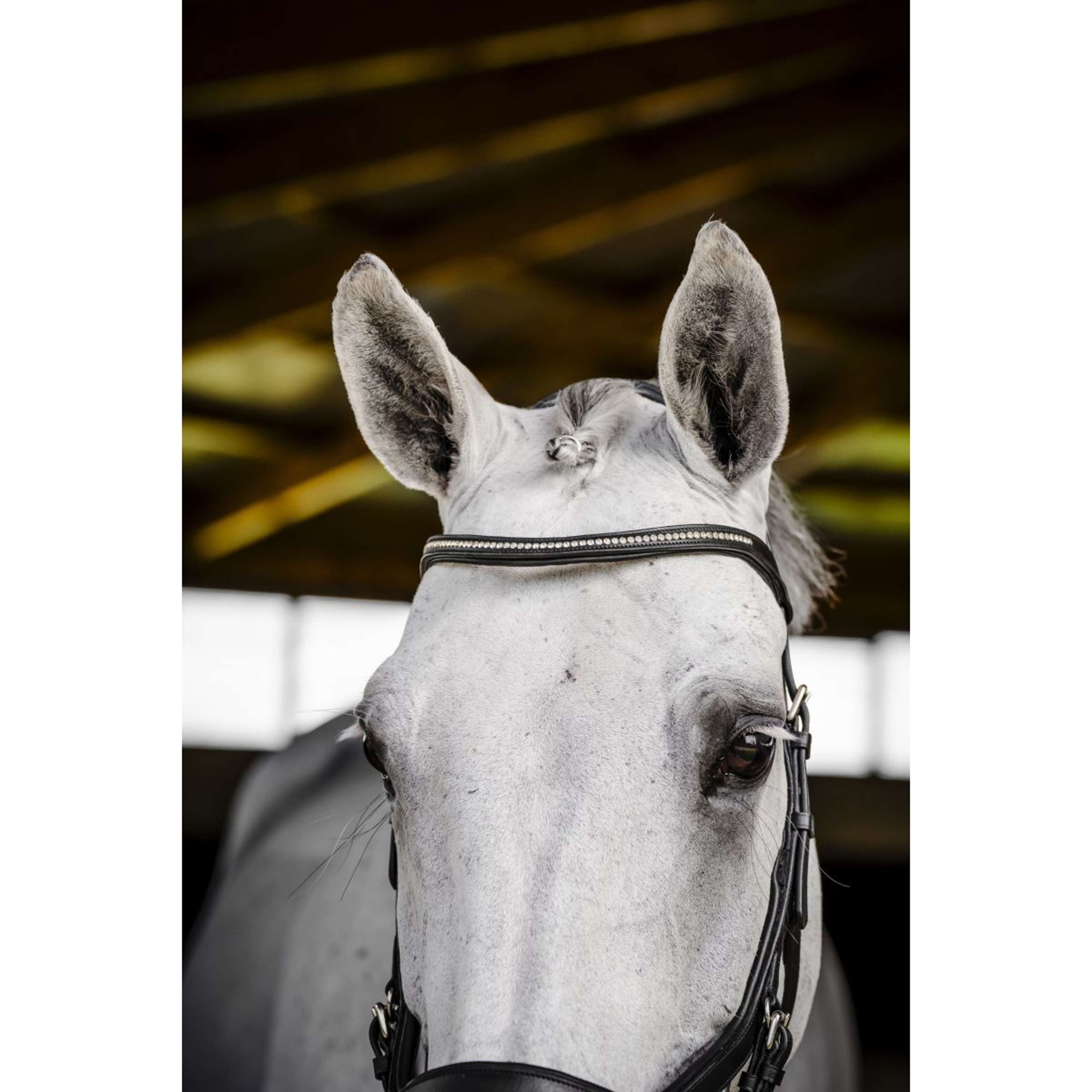 Horseware Micklem Diamante Competition Bridle Black