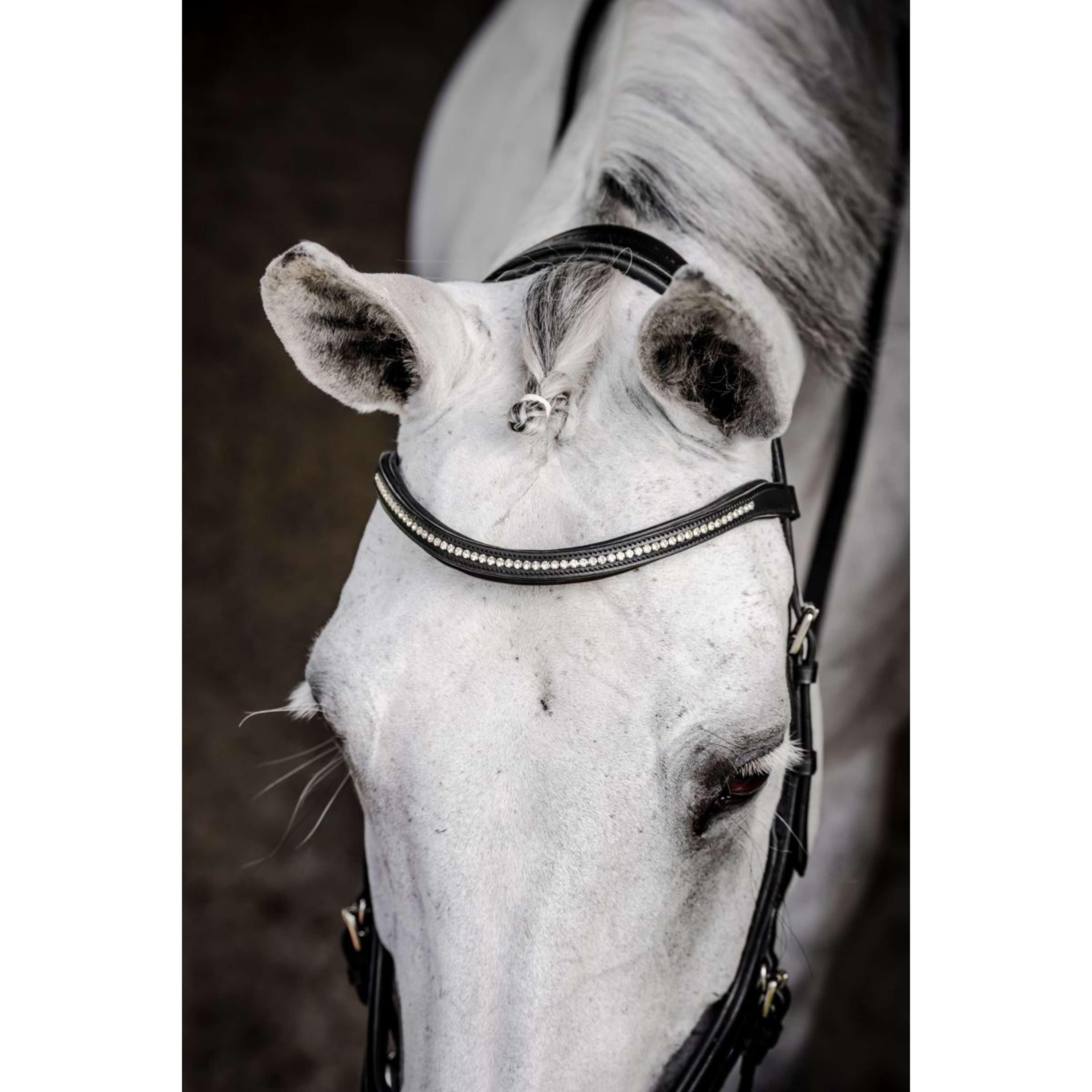 Horseware Micklem Diamante Competition Bridle Black
