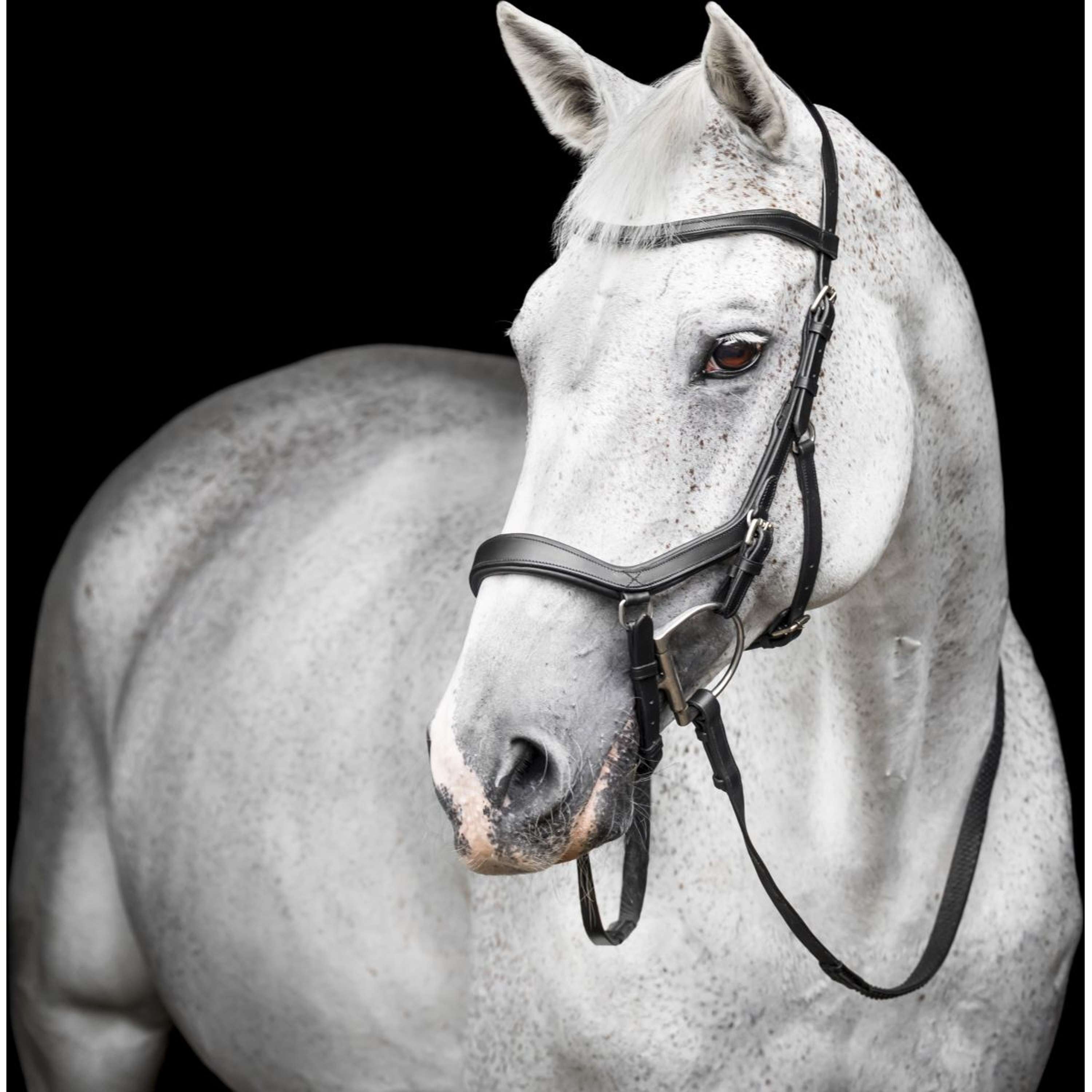 Horseware Micklem Competition Bridle Black