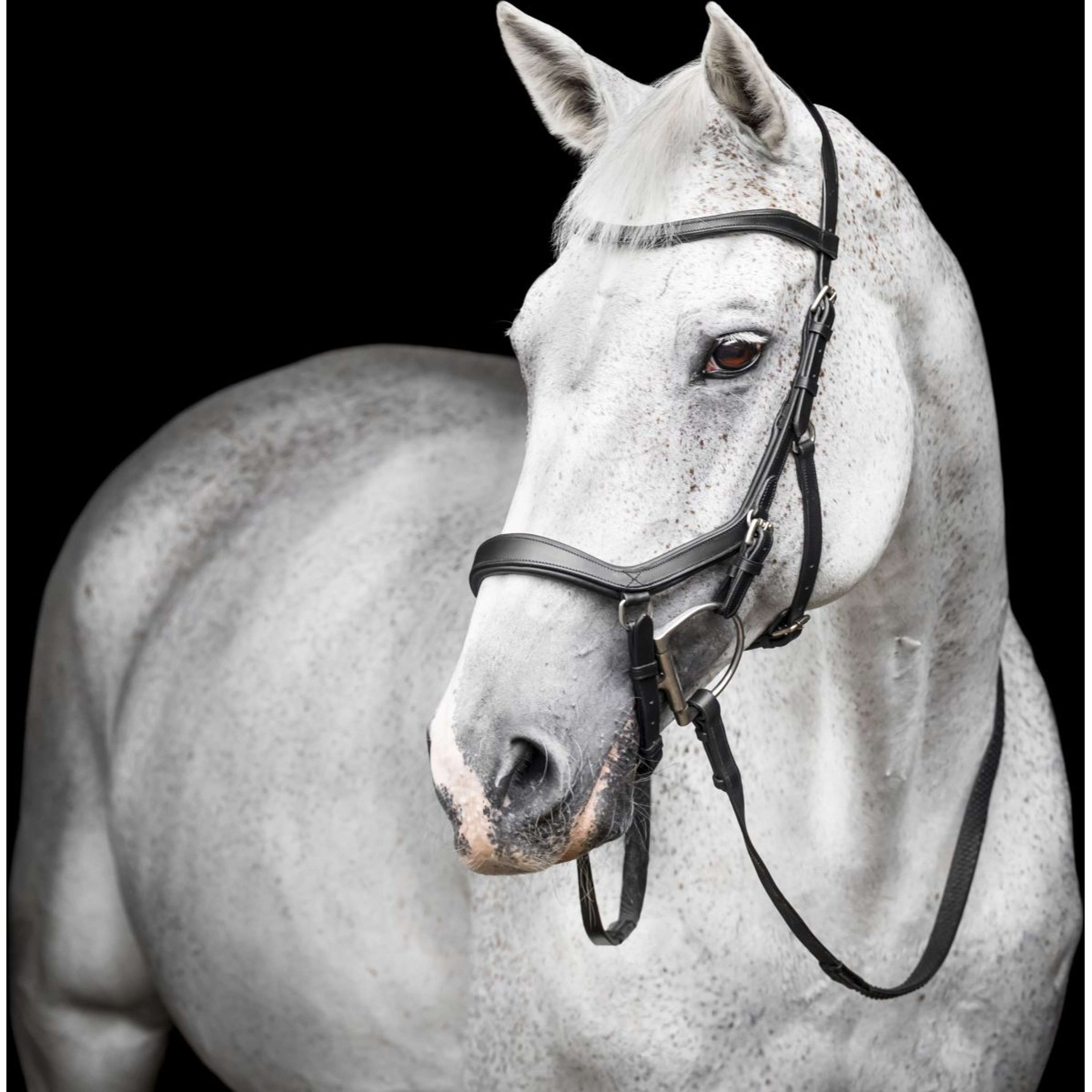 Horseware Micklem Competition Bridle Black