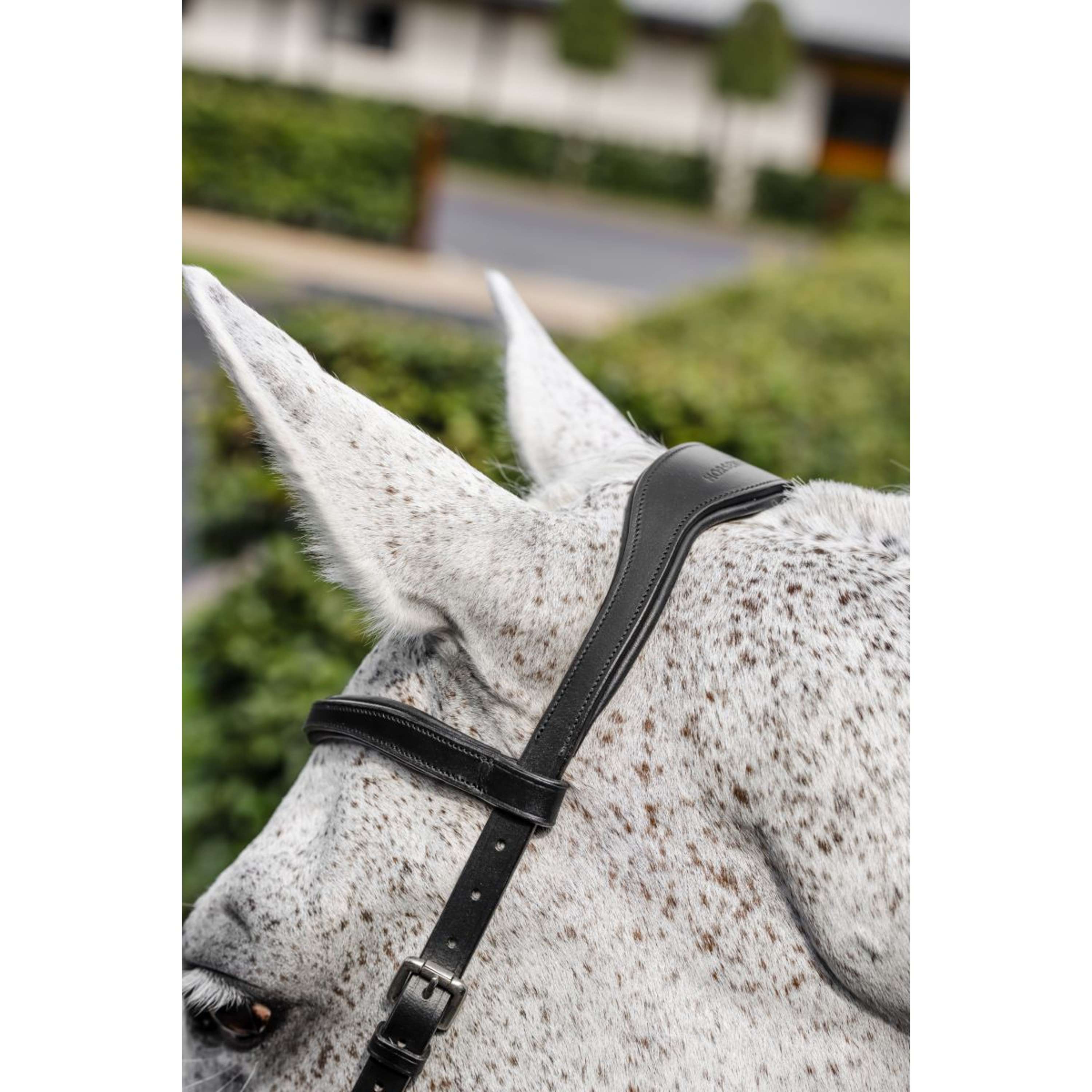 Horseware Micklem Competition Bridle Black