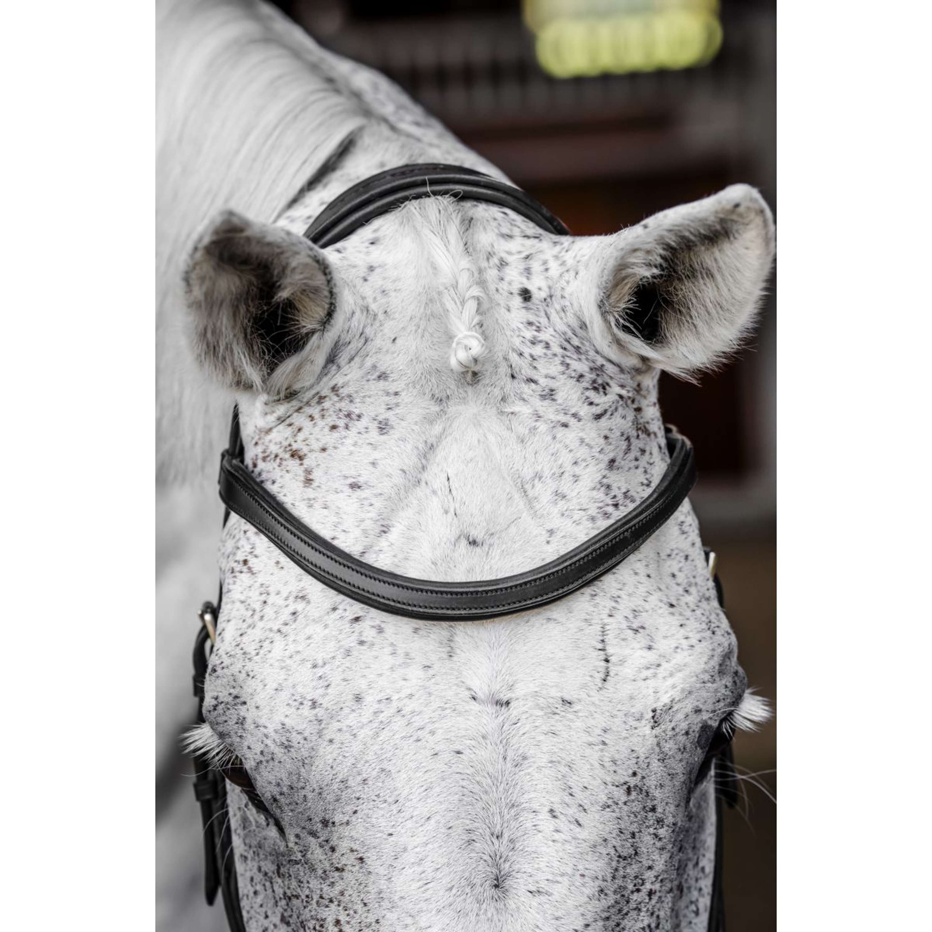 Horseware Micklem Competition Bridle Black