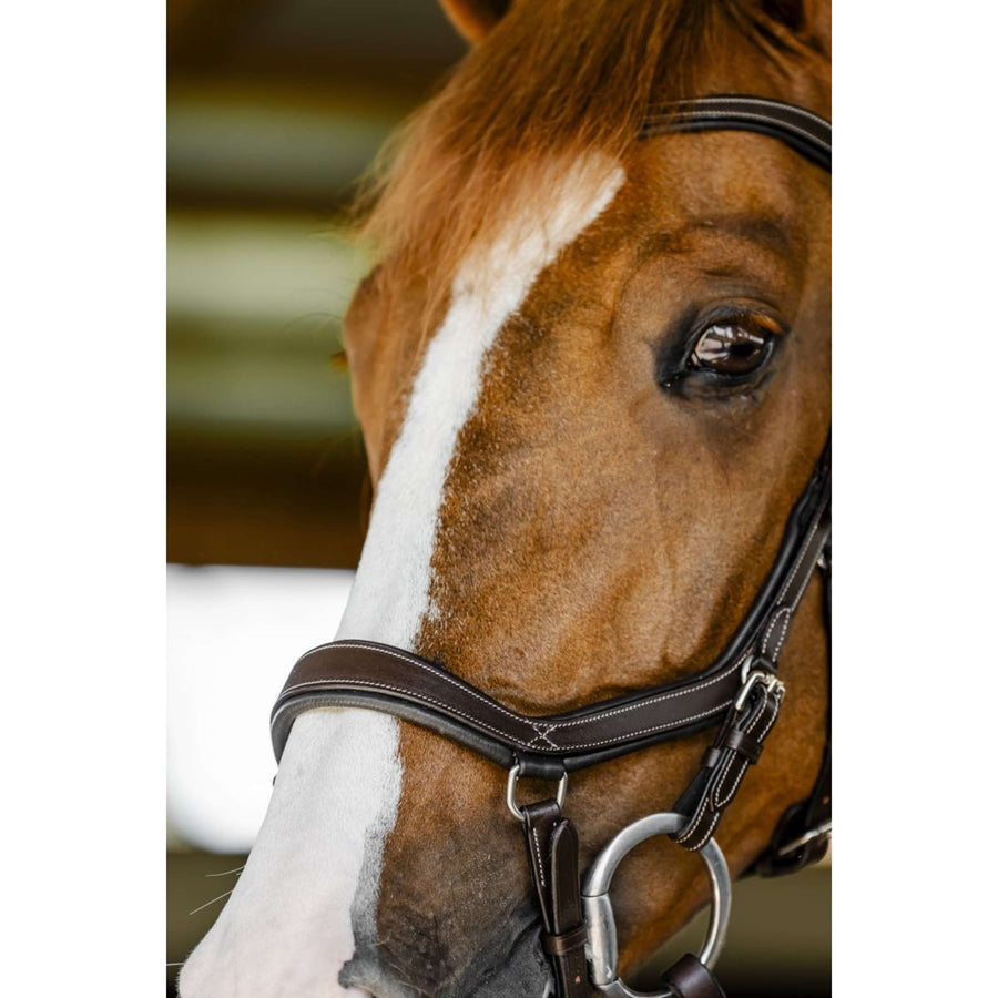 Horseware Micklem Competition Bridle Dark Havana