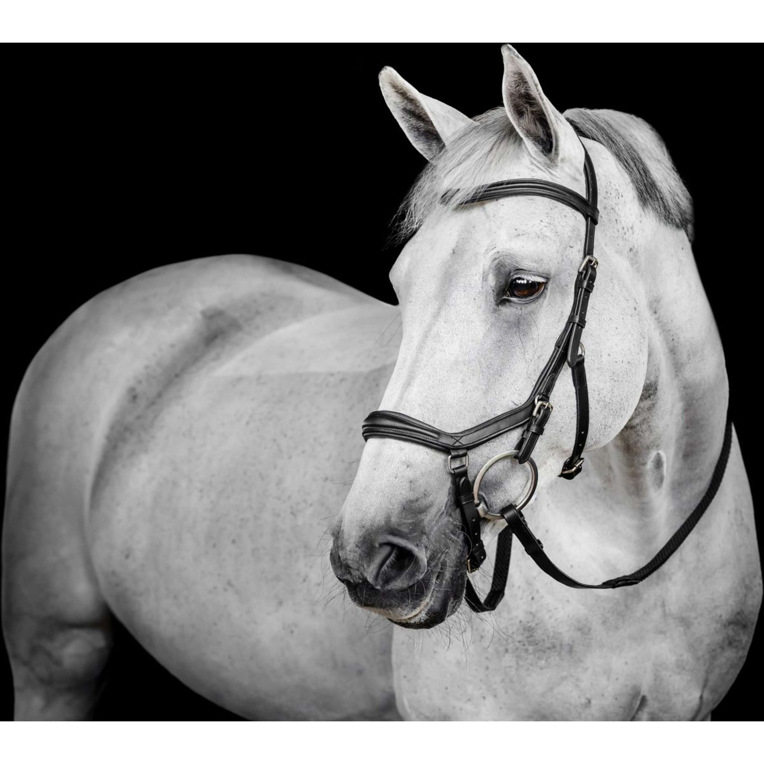 Horseware Micklem Deluxe Competition Bridle Black