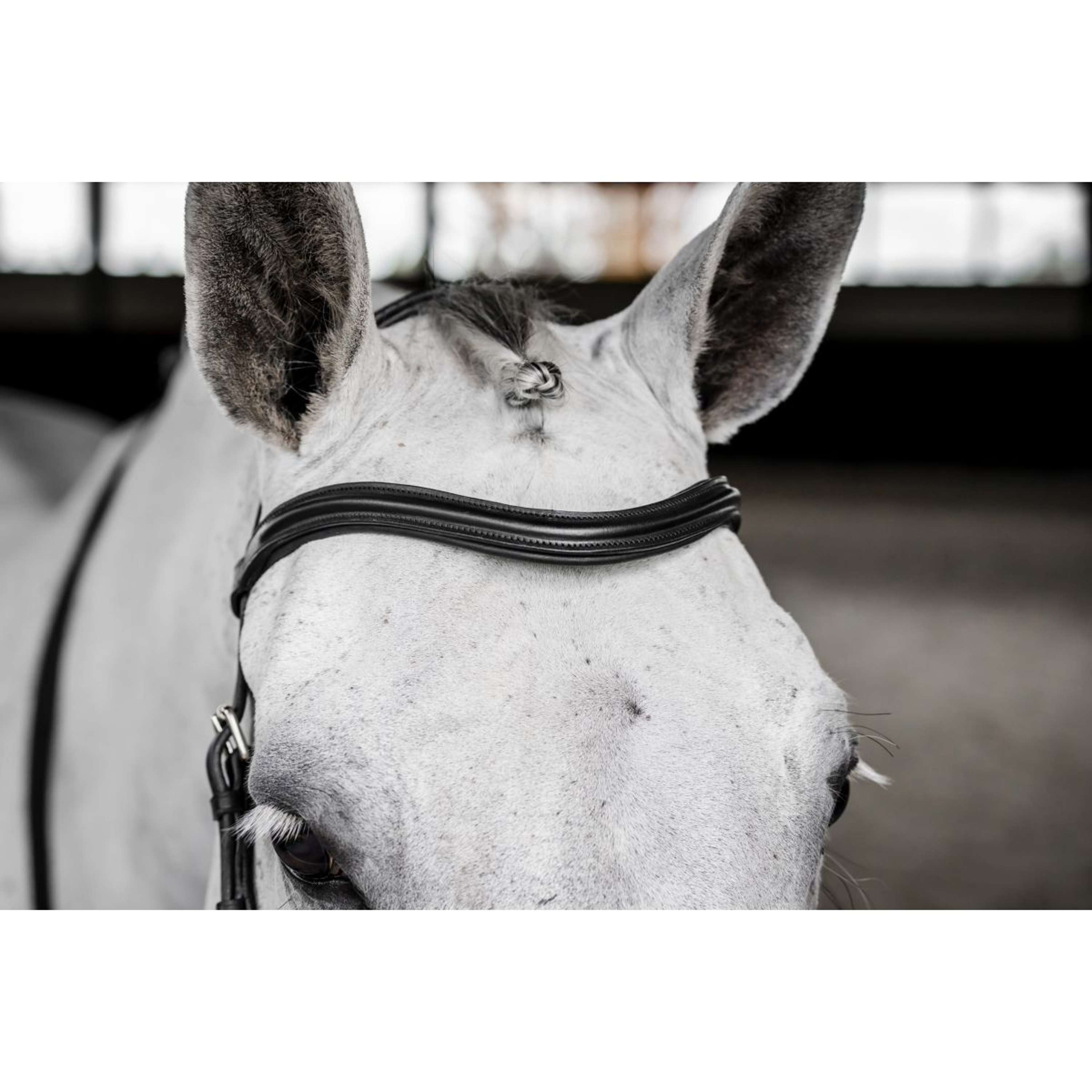 Horseware Micklem Deluxe Competition Bridle Black