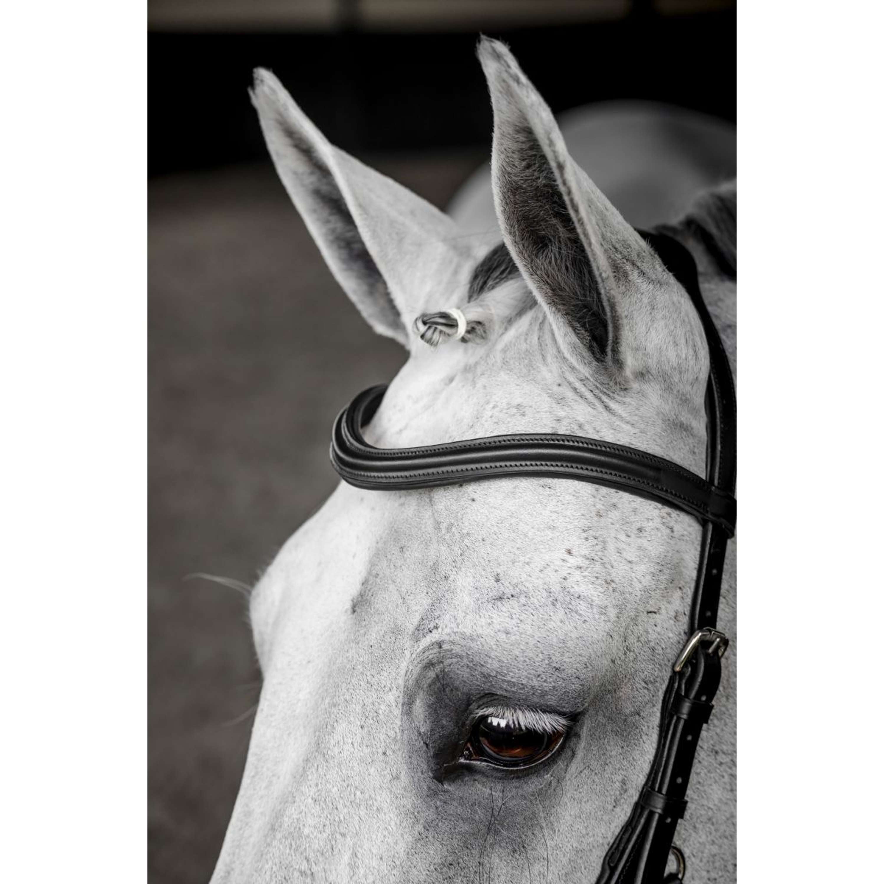 Horseware Micklem Deluxe Competition Bridle Black