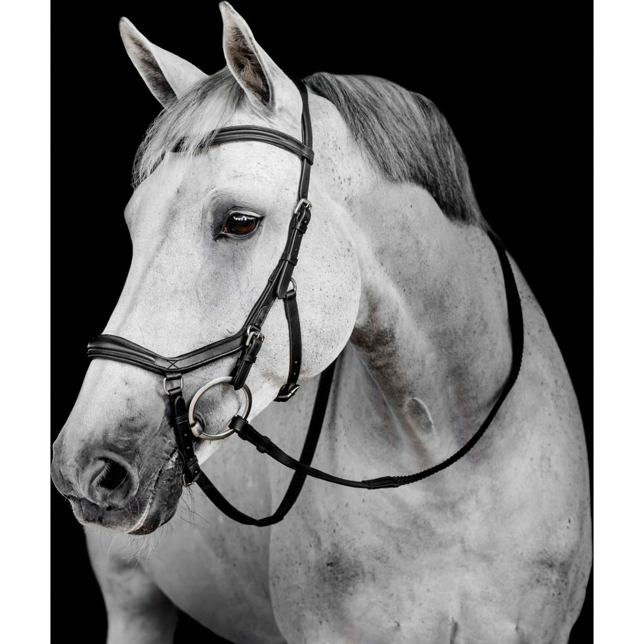 Horseware Micklem Deluxe Competition Bridle Black